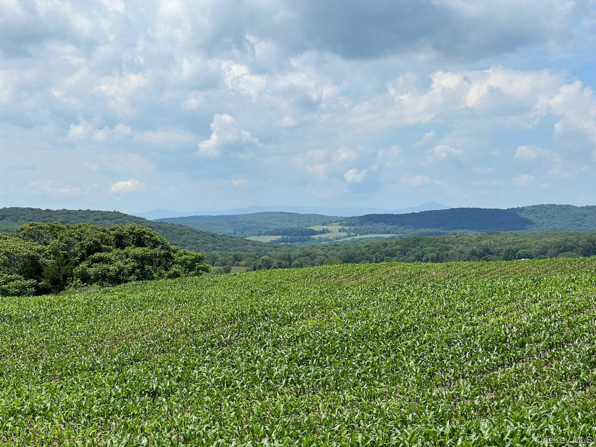 Route 82 Property Photo 1