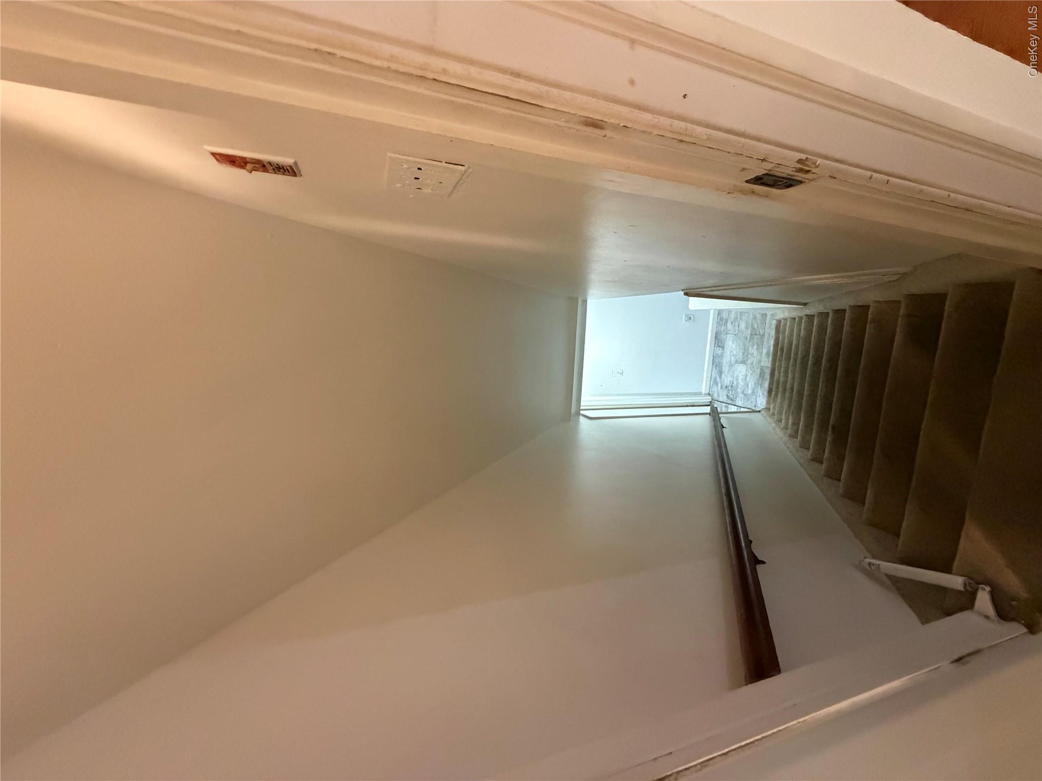 18 Alexander Avenue Property Photo 13