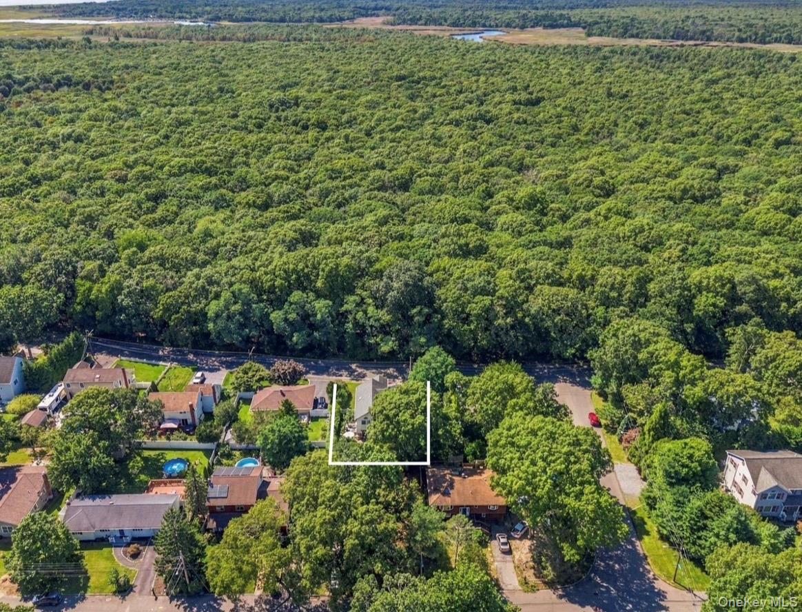 277 Smith Road Property Photo 20