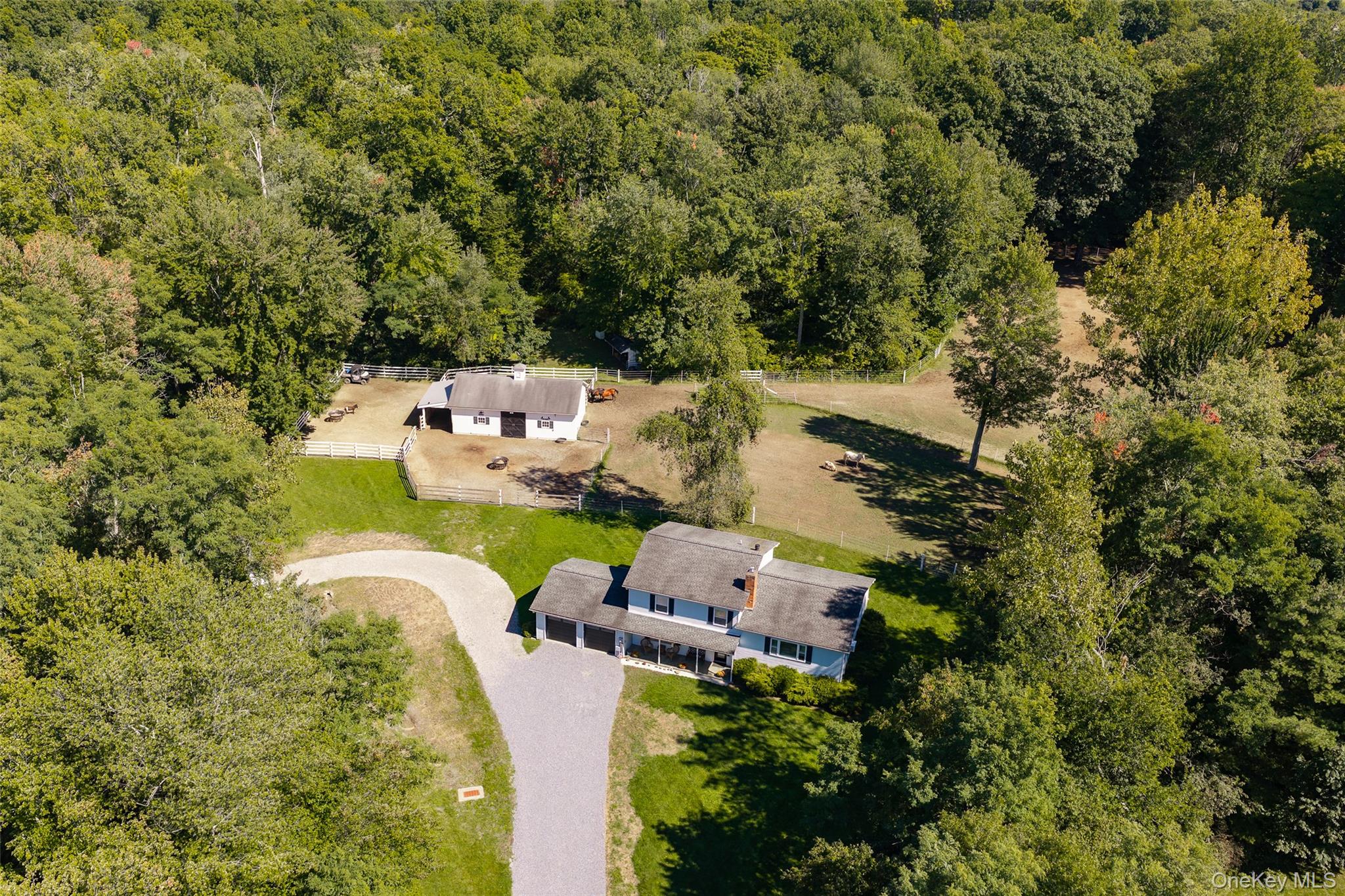26 Gold Road Property Photo 5