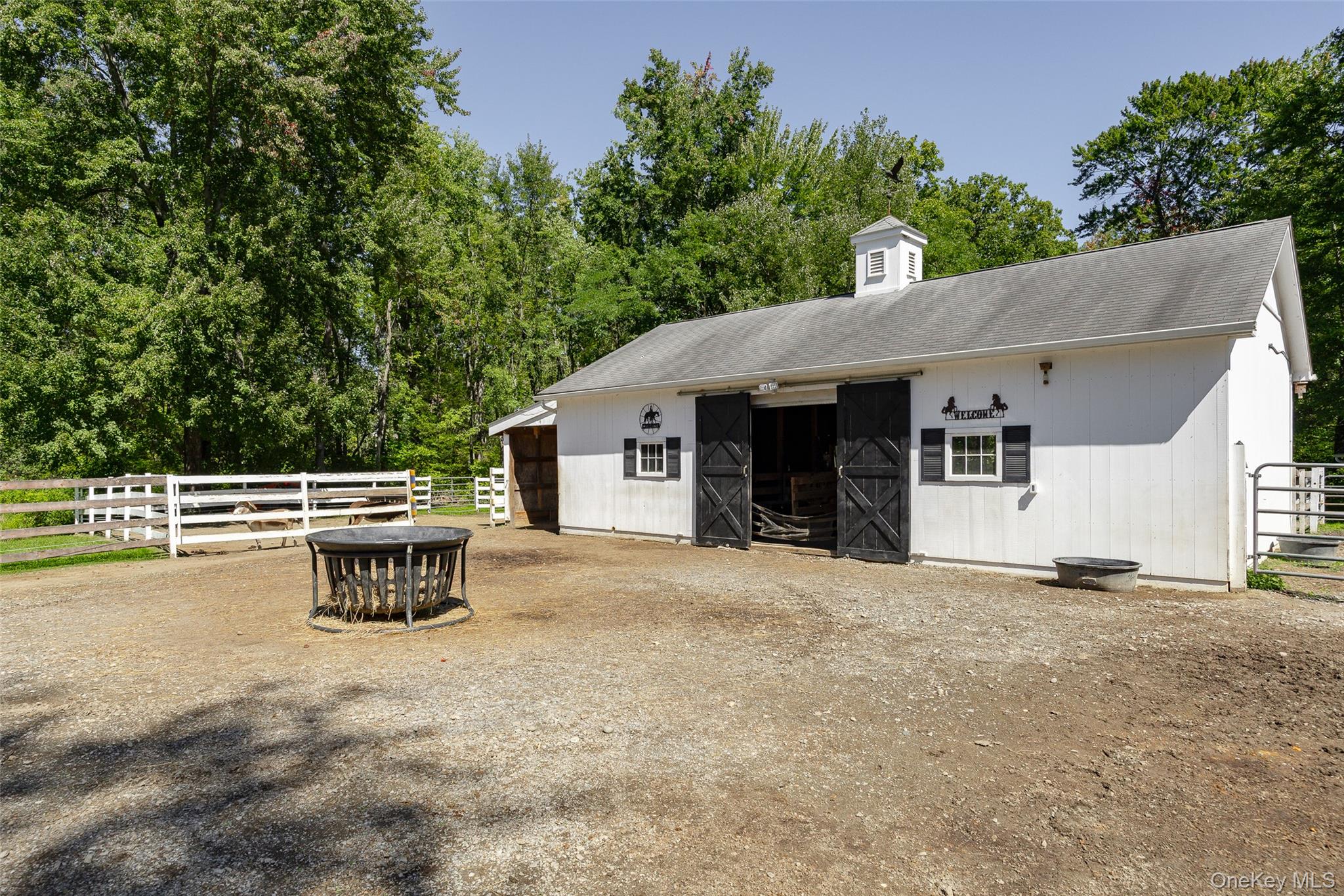 26 Gold Road Property Photo 32