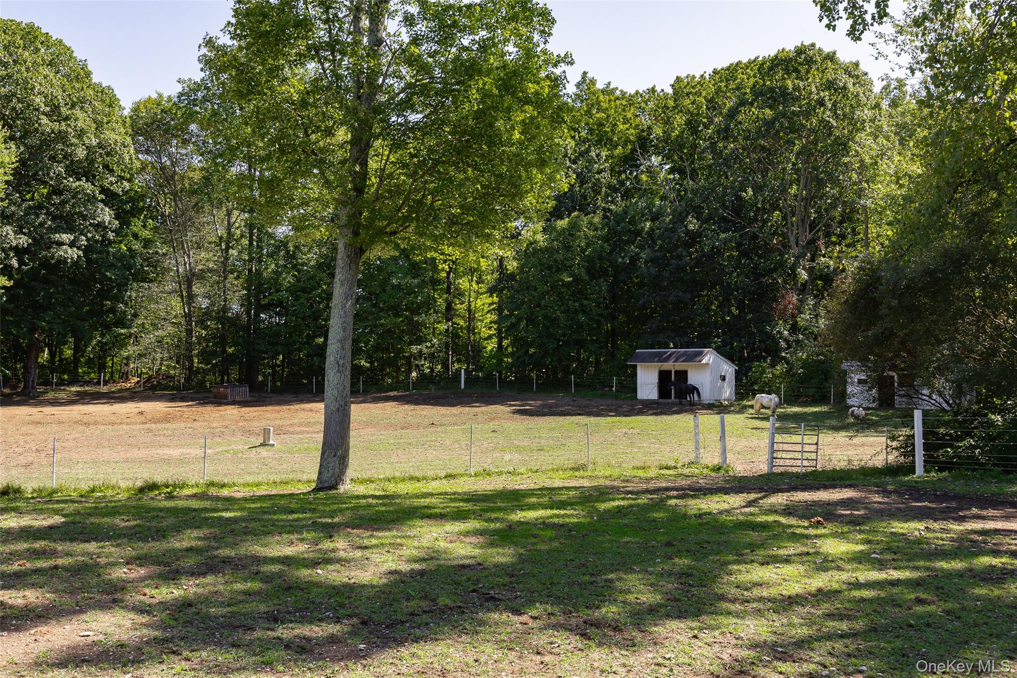 26 Gold Road Property Photo 39