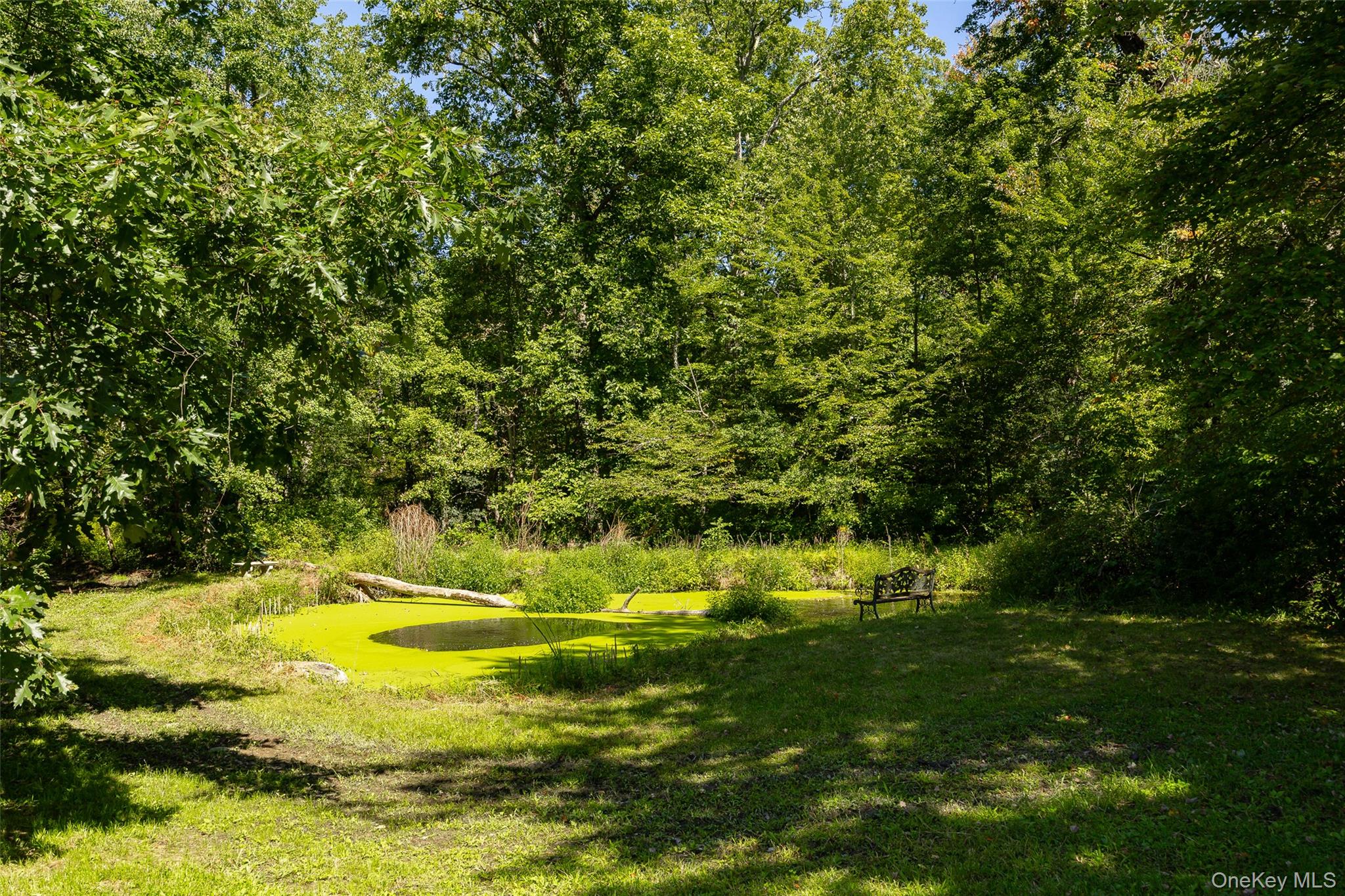26 Gold Road Property Photo 42