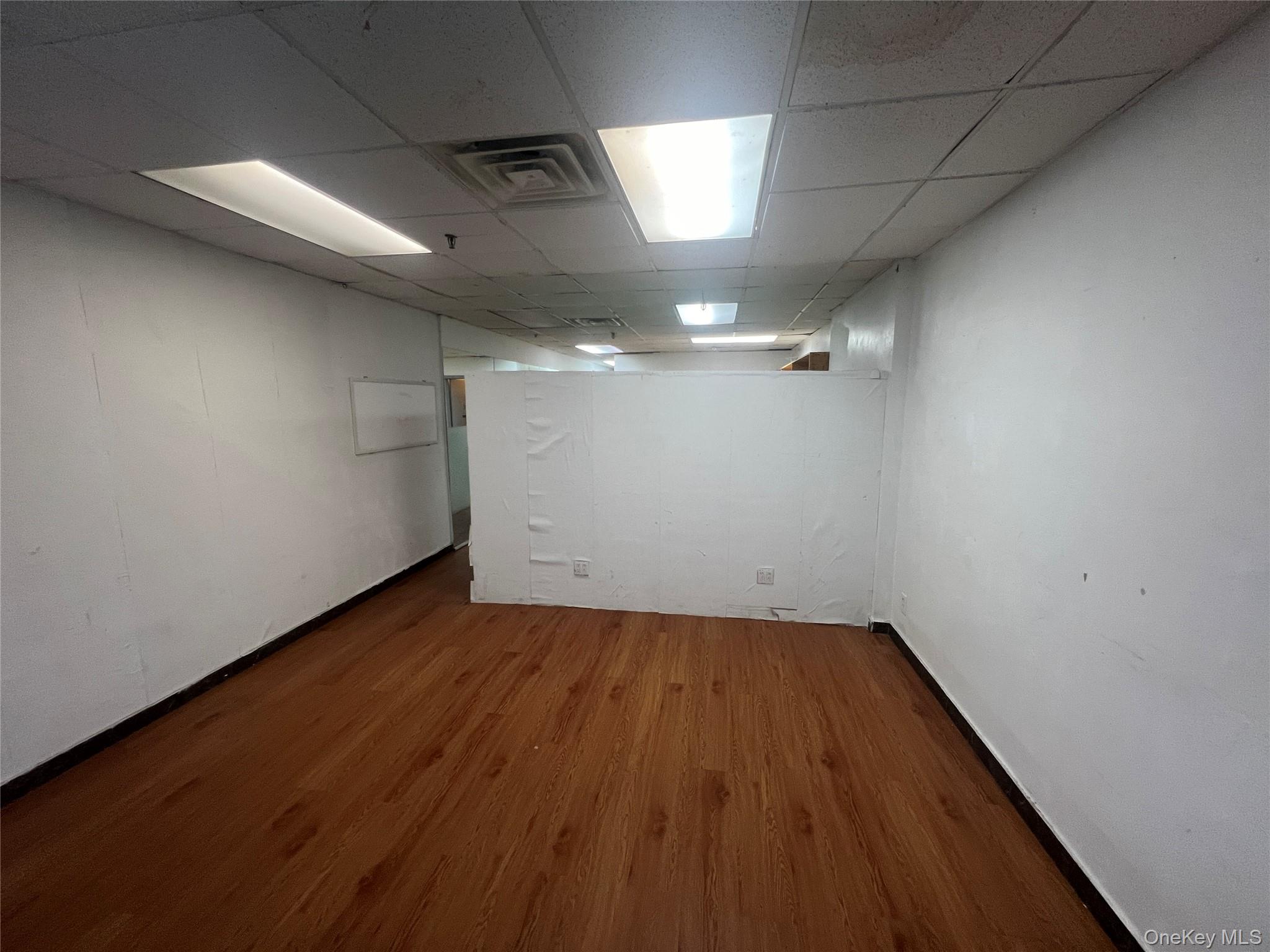 4306 Main Street Basement Property Photo 1