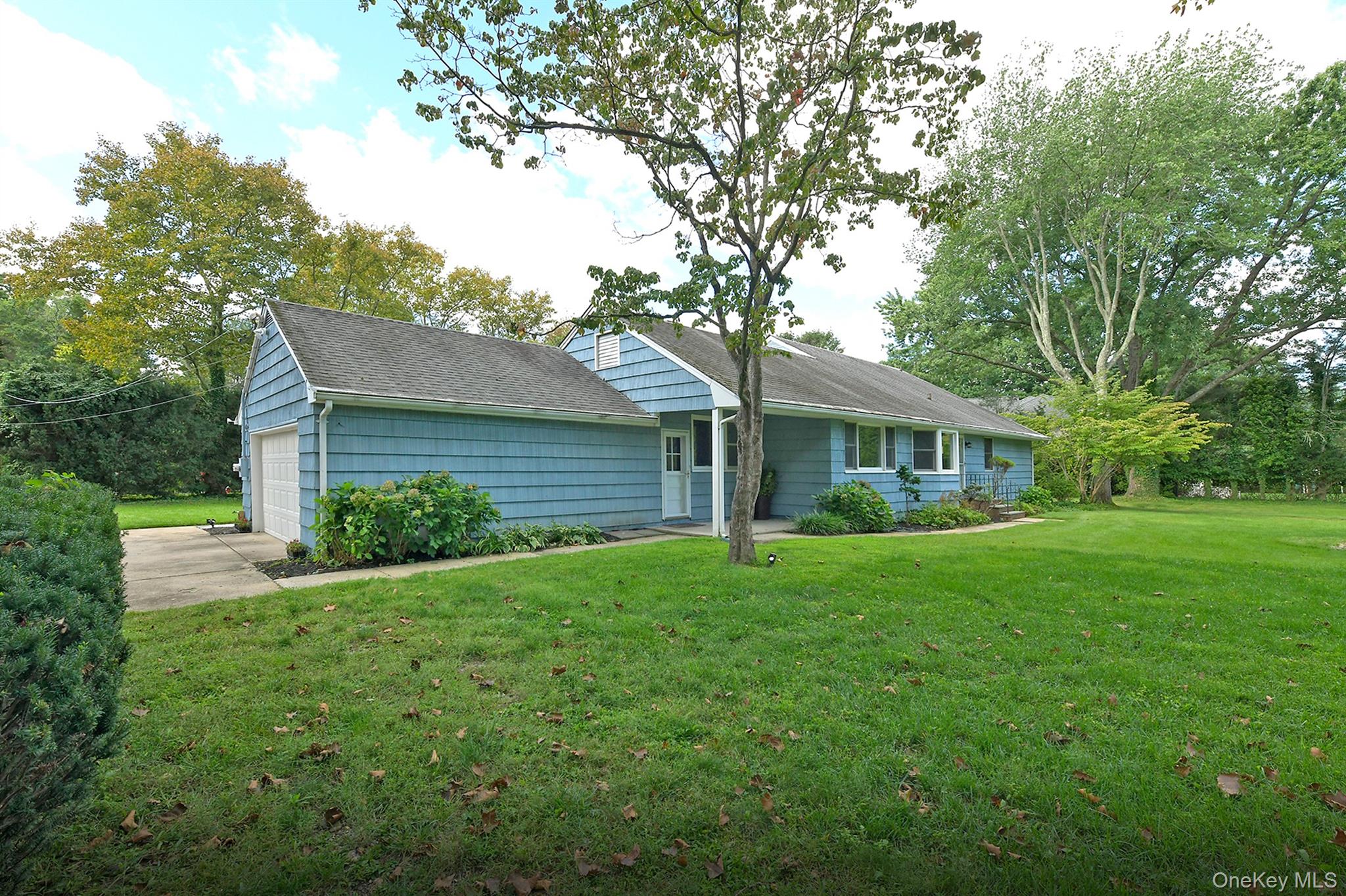 1950 Midlane Property Photo 29