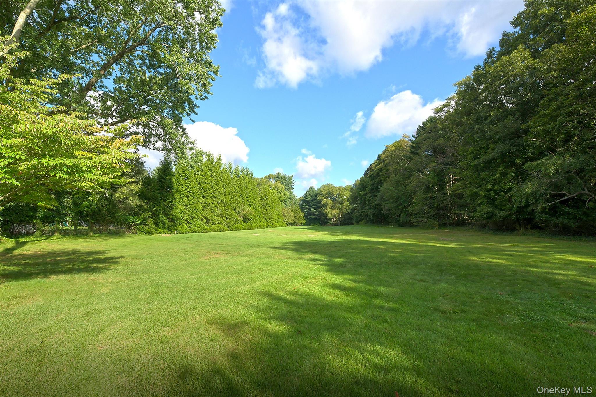 1950 Midlane Property Photo 31