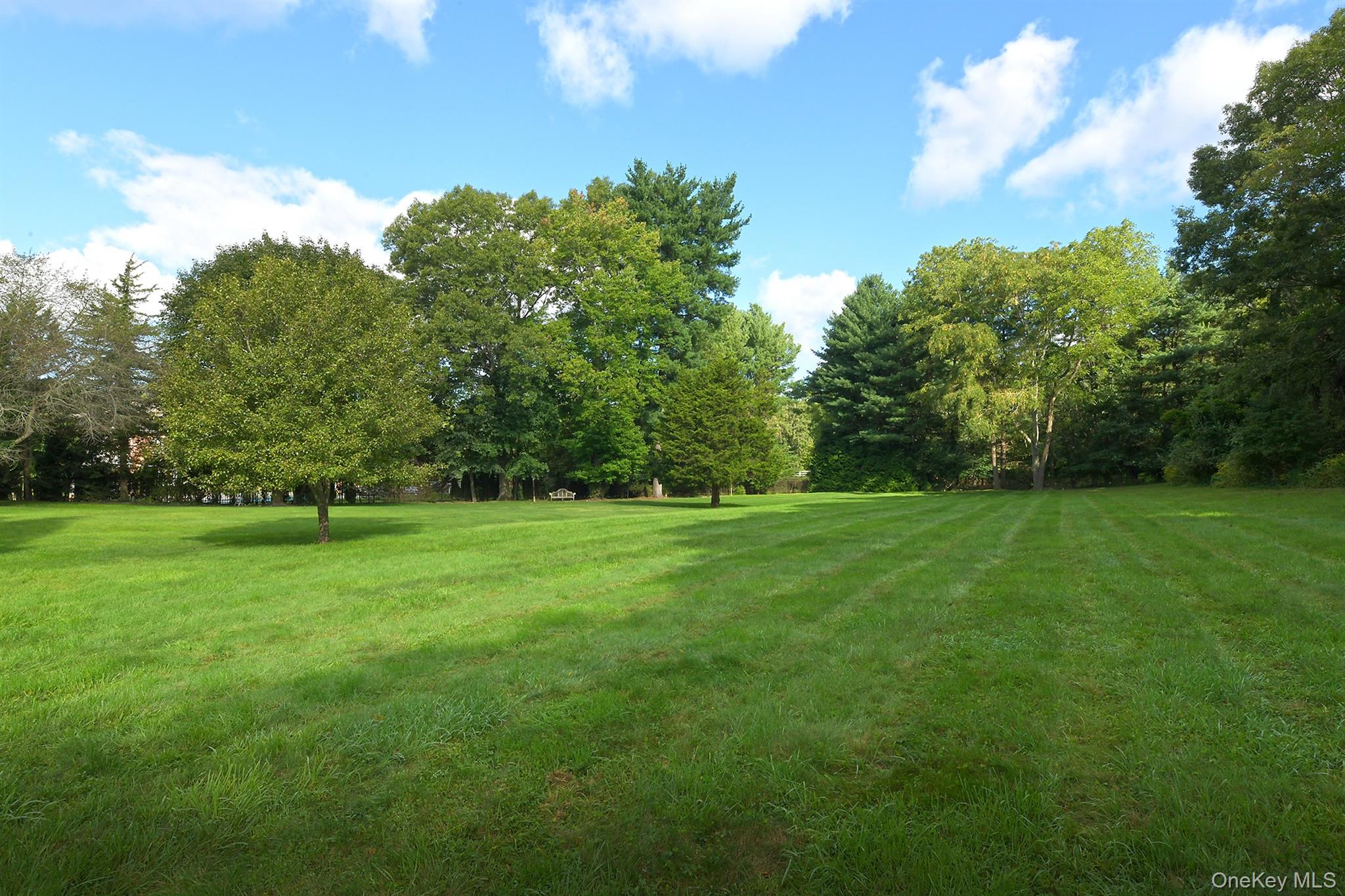 1950 Midlane Property Photo 33