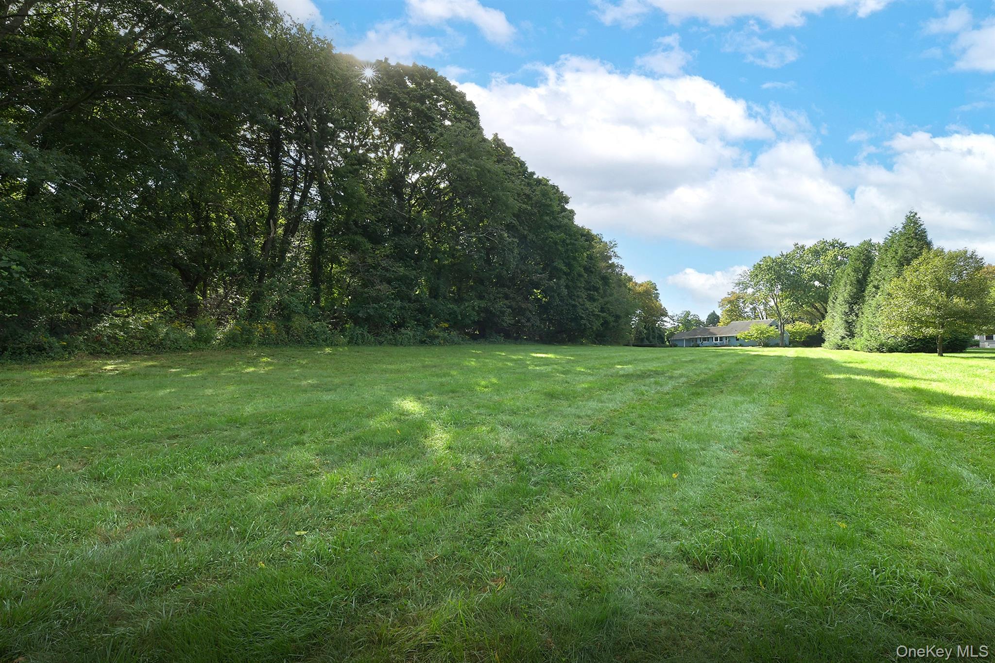 1950 Midlane Property Photo 34