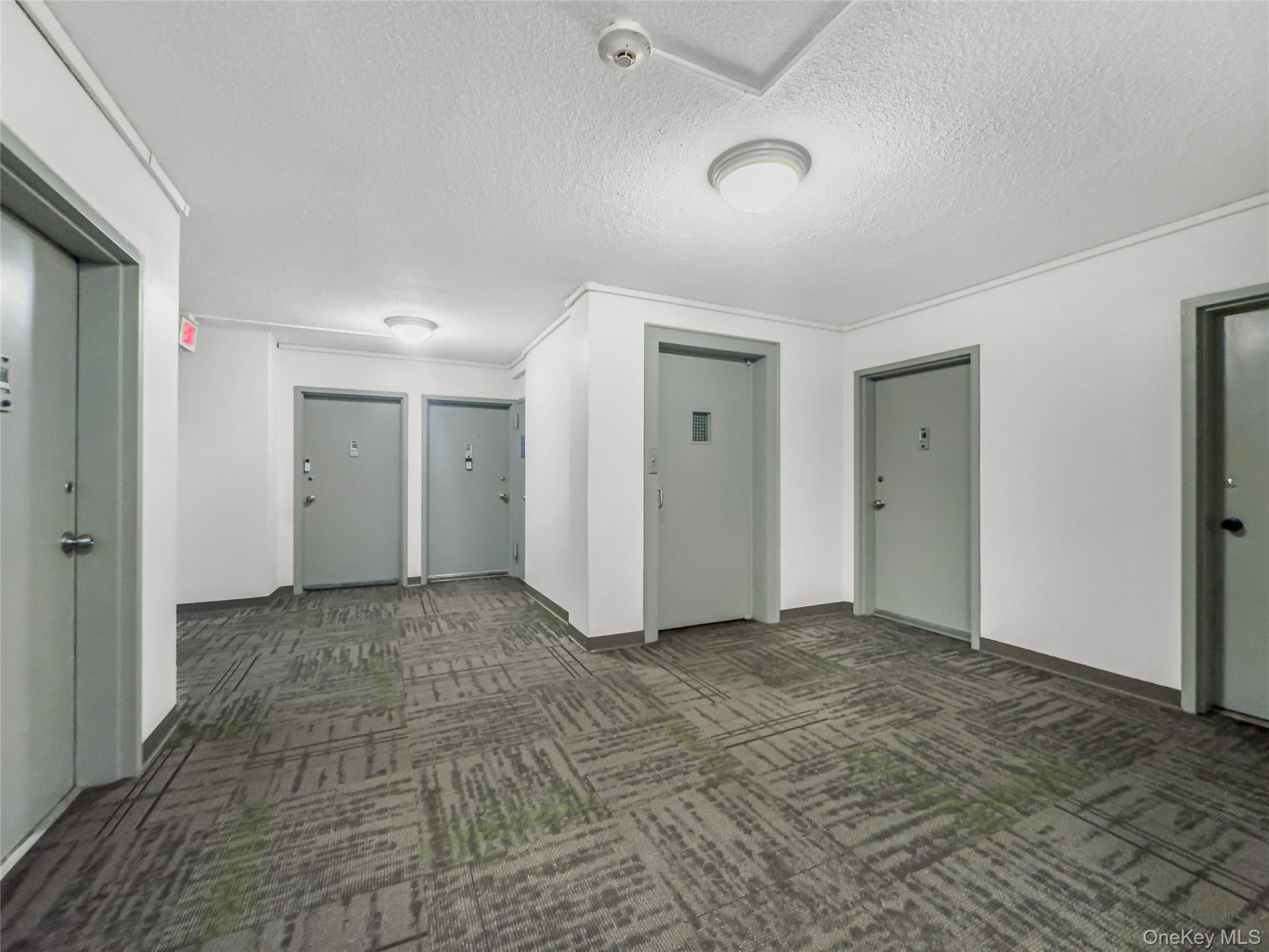 171 Pearsall 3h Property Photo 11