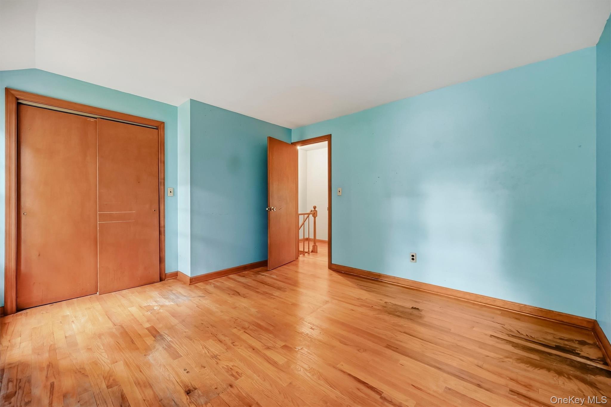 16 Cottage Avenue Property Photo 27