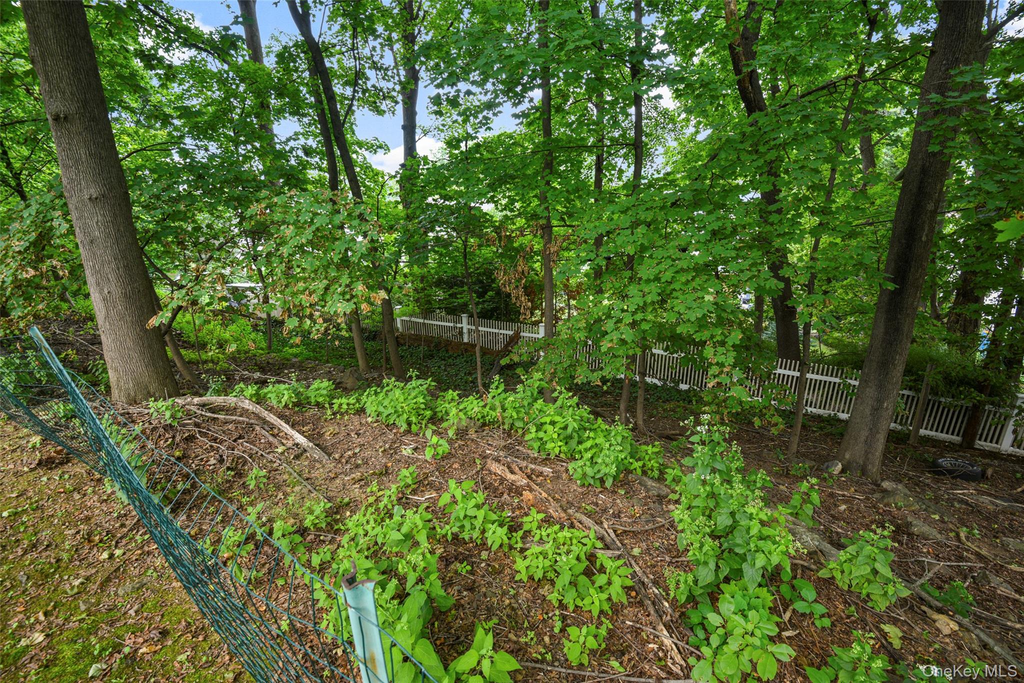 4 Ridgeview Avenue Property Photo 37