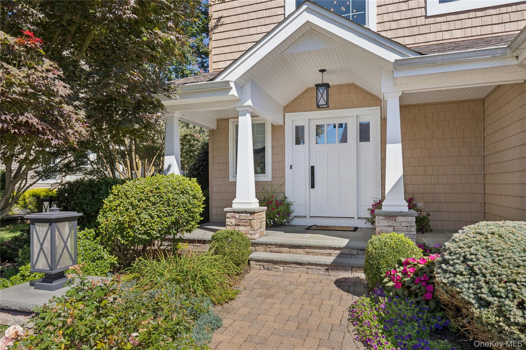 14 Esmond Avenue Property Photo 3