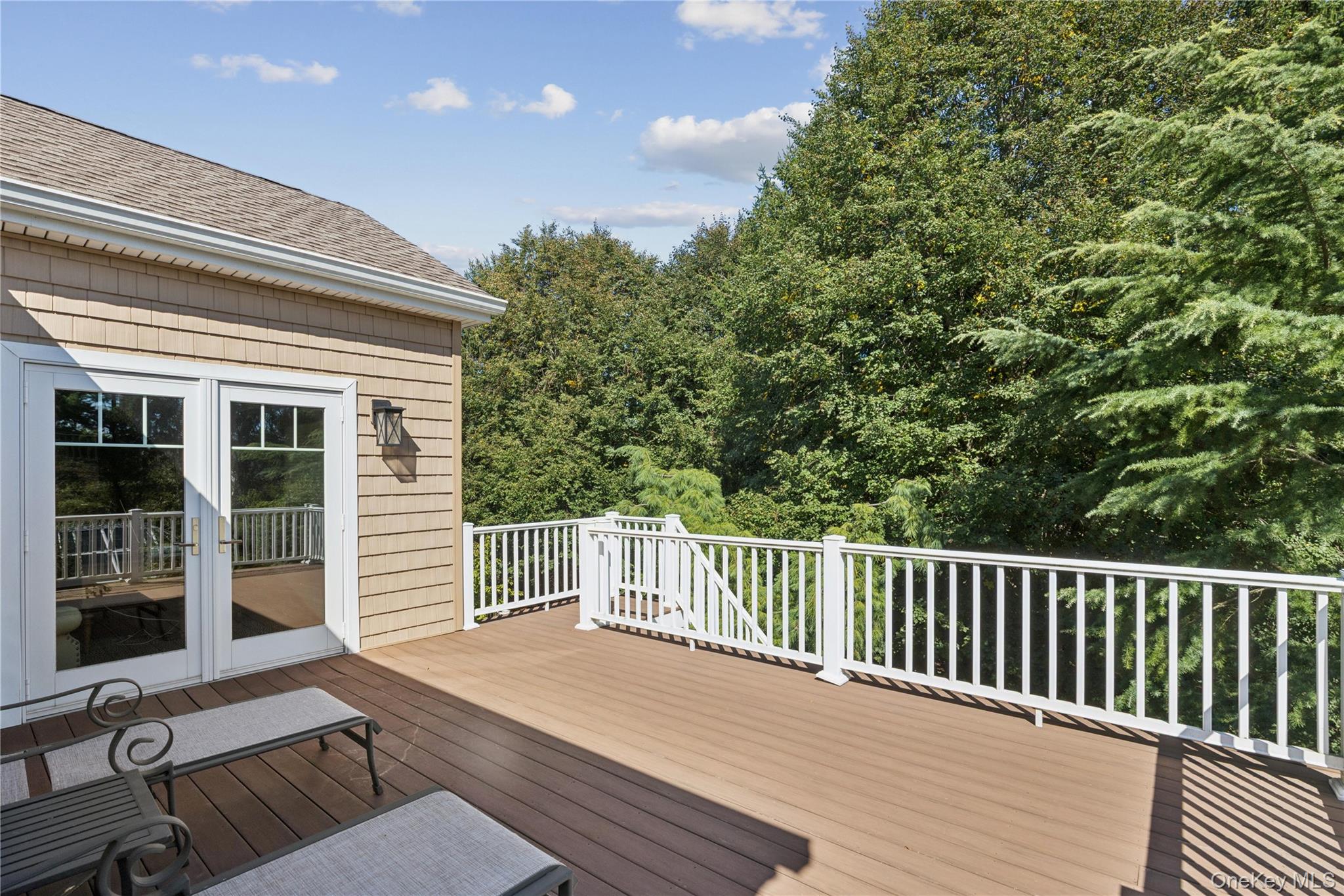 14 Esmond Avenue Property Photo 31