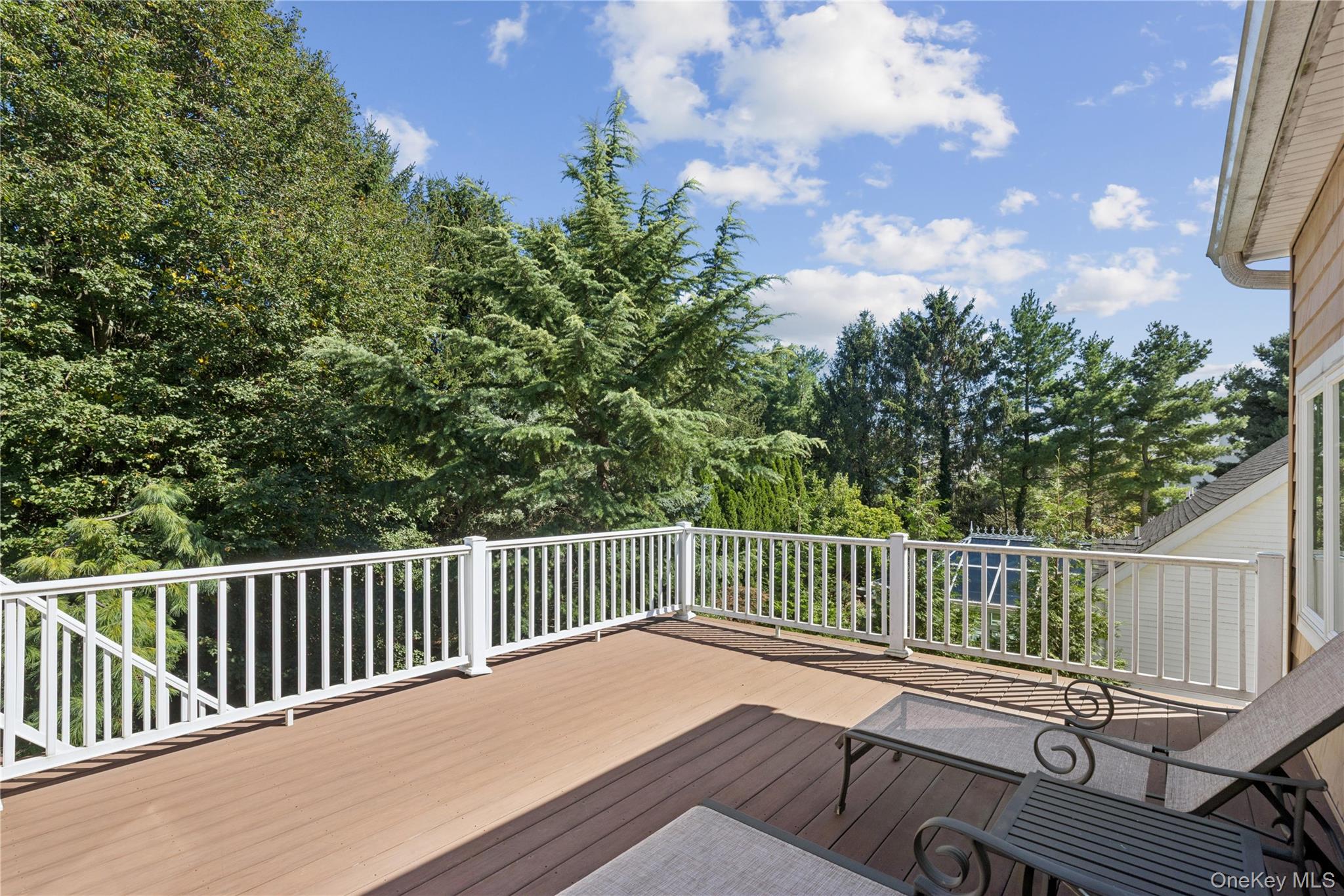 14 Esmond Avenue Property Photo 32