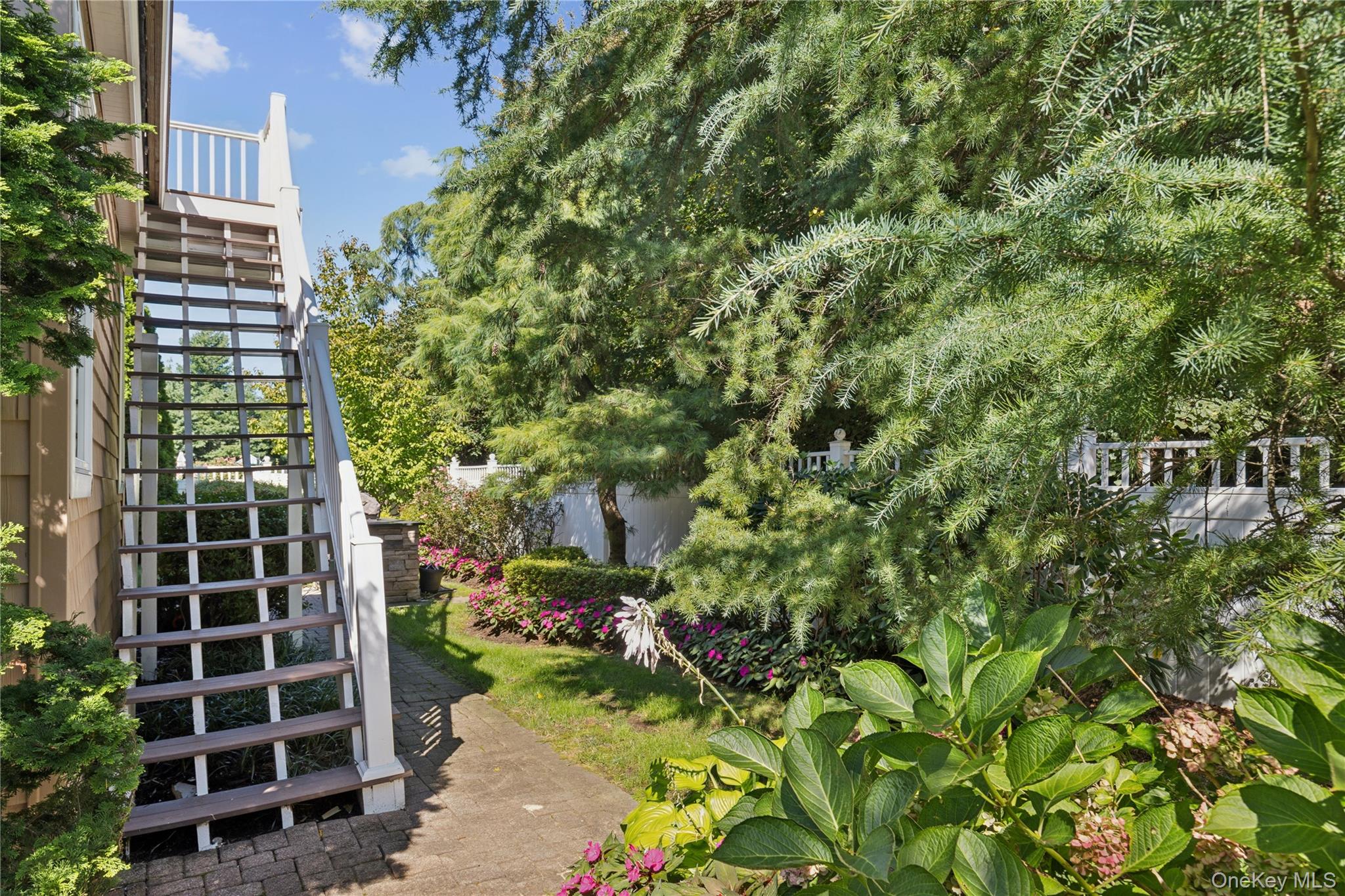 14 Esmond Avenue Property Photo 33