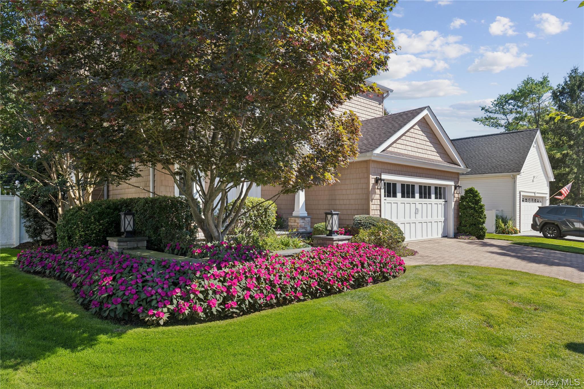 14 Esmond Avenue Property Photo 37