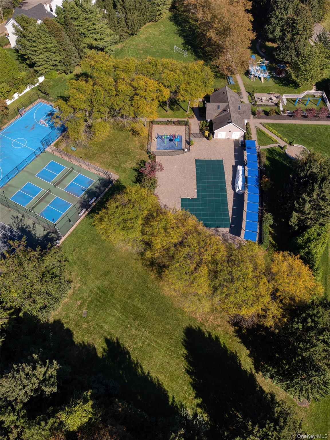 14 Esmond Avenue Property Photo 40