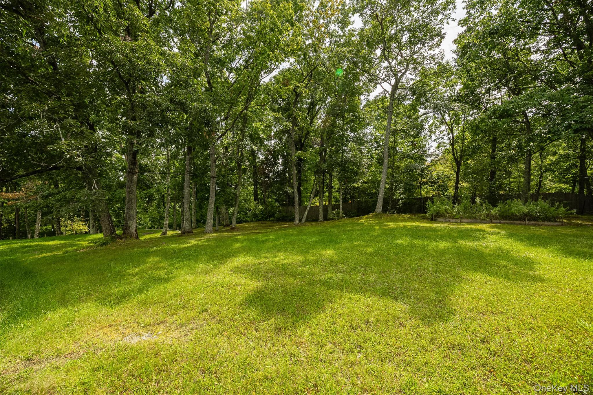 226 Charwill Drive Property Photo 36