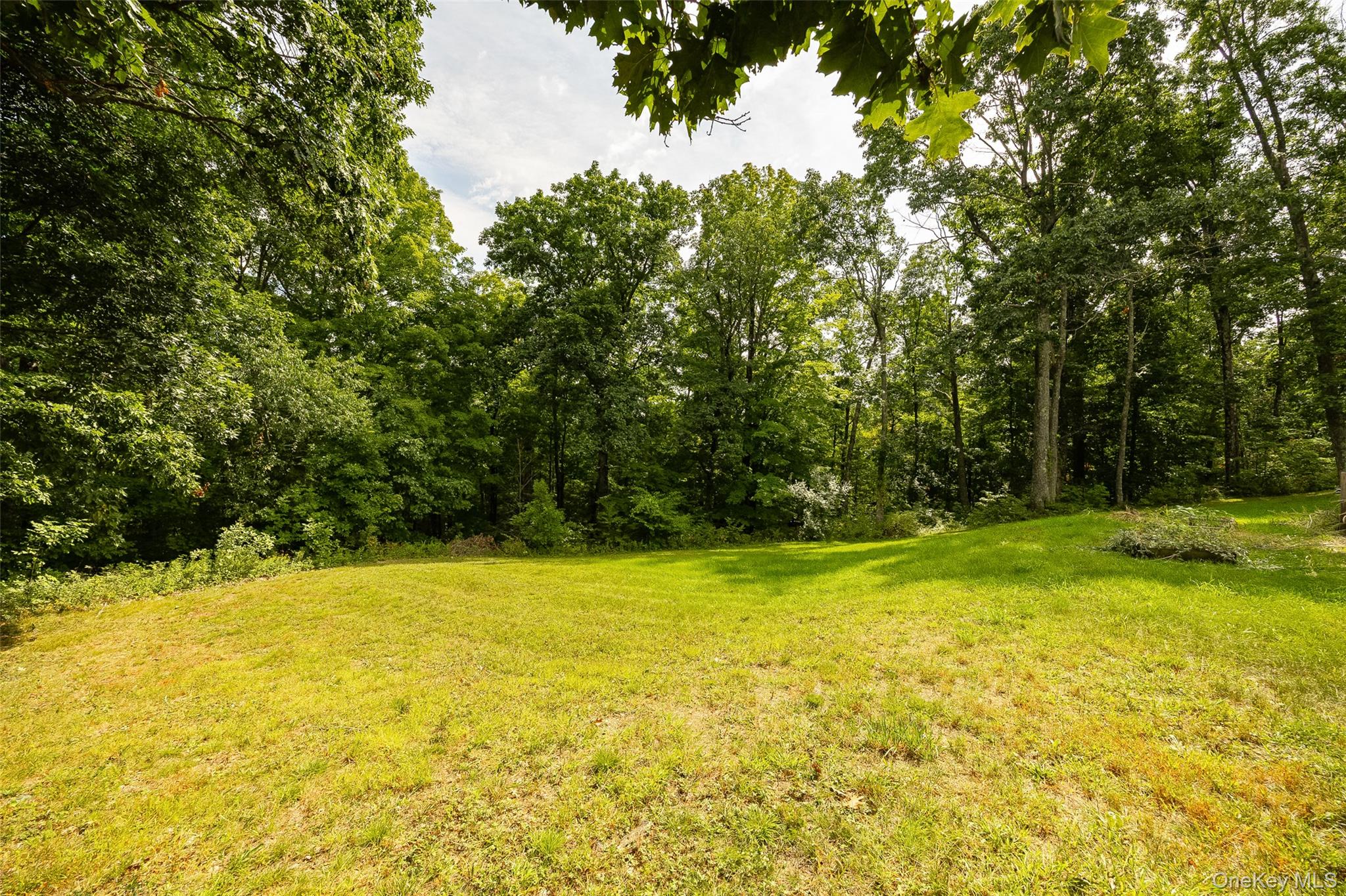 226 Charwill Drive Property Photo 37