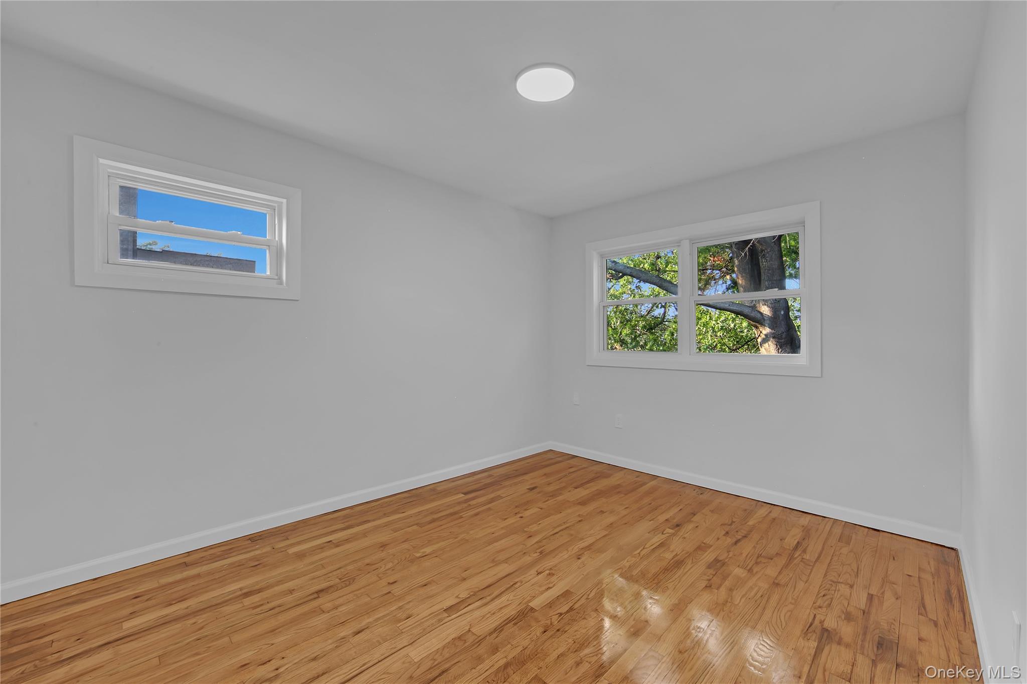 931 E 232nd Street Property Photo 10