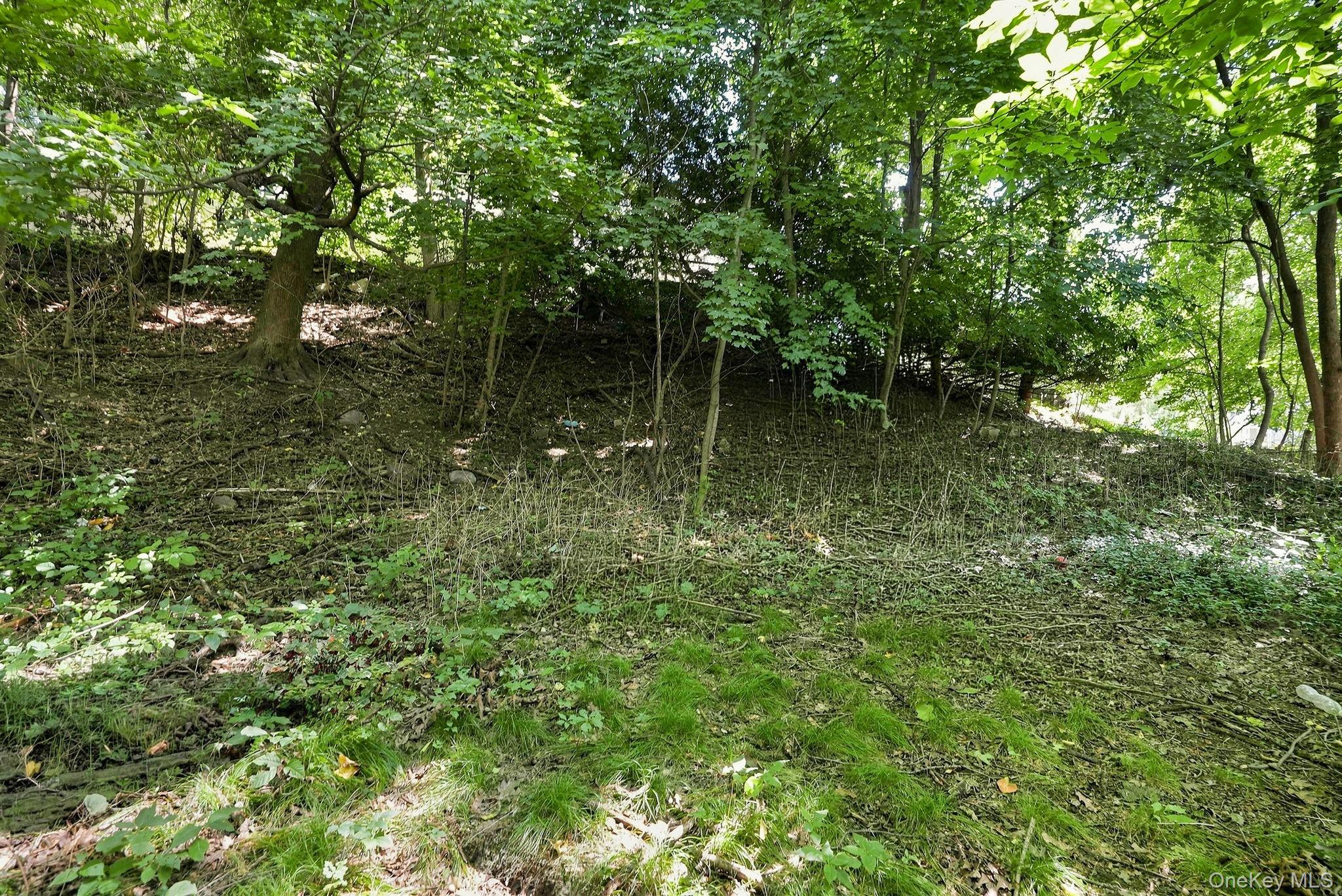 100 Pembrook Drive Property Photo 15
