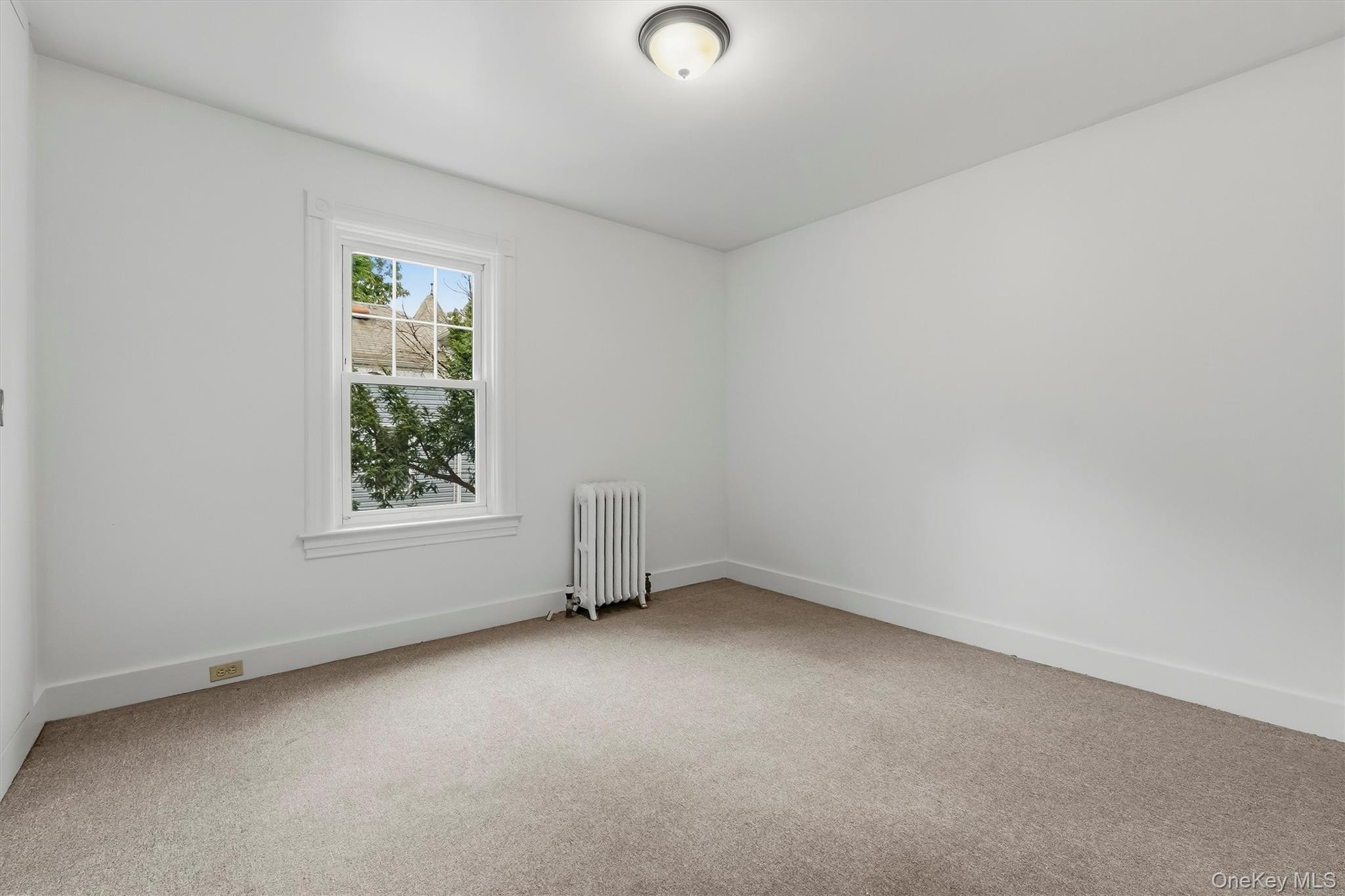 9 Desmond Avenue Property Photo 16