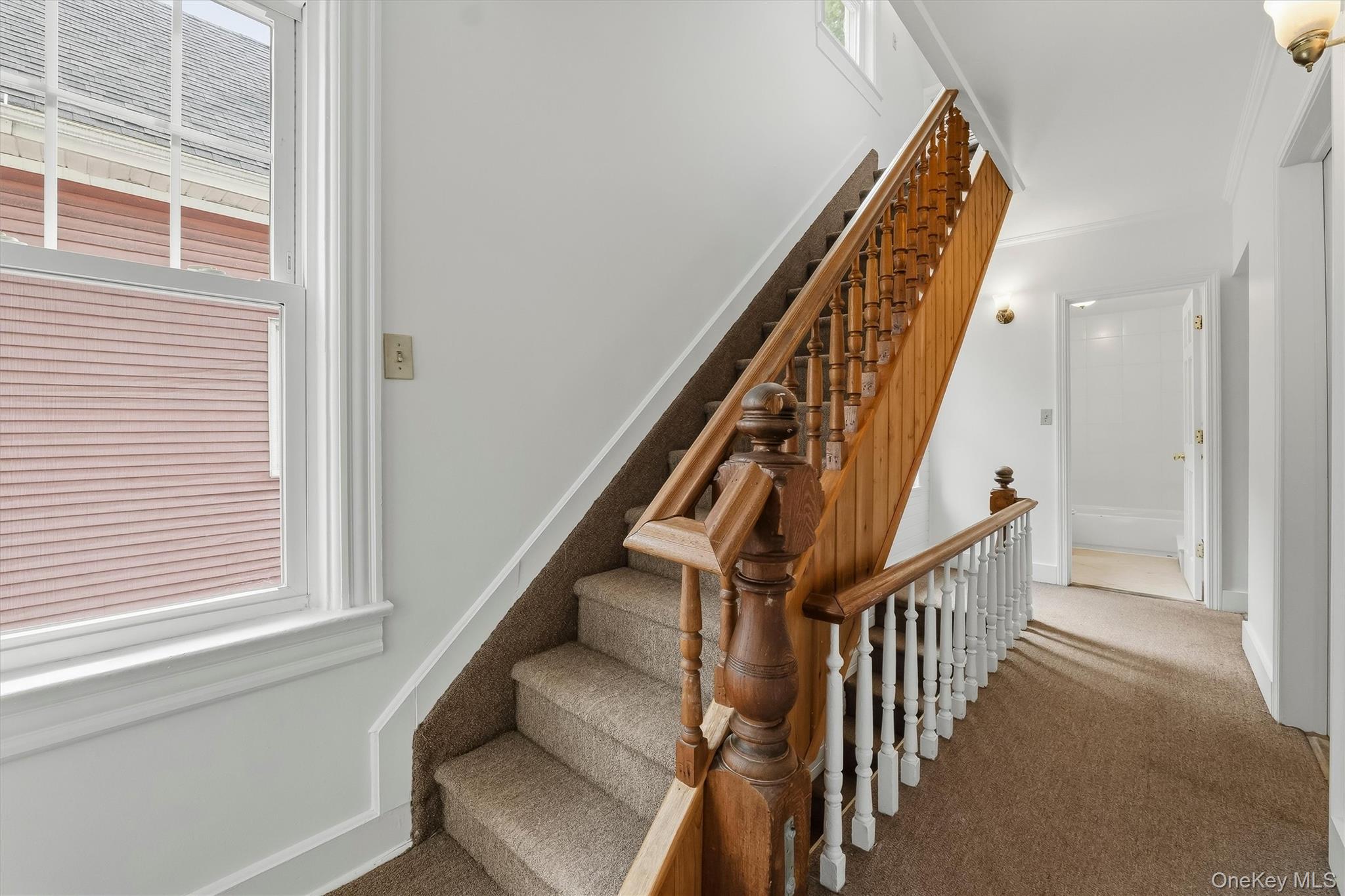 9 Desmond Avenue Property Photo 19