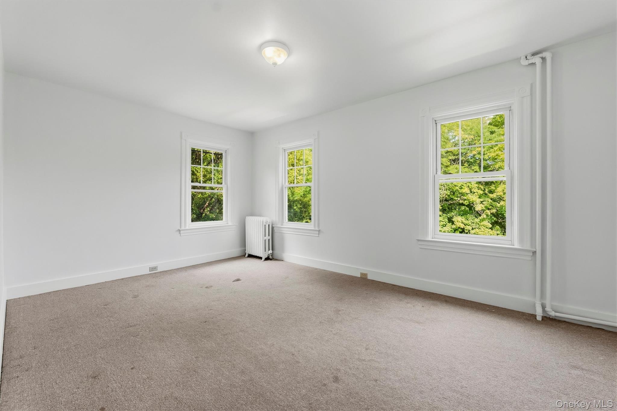 9 Desmond Avenue Property Photo 21