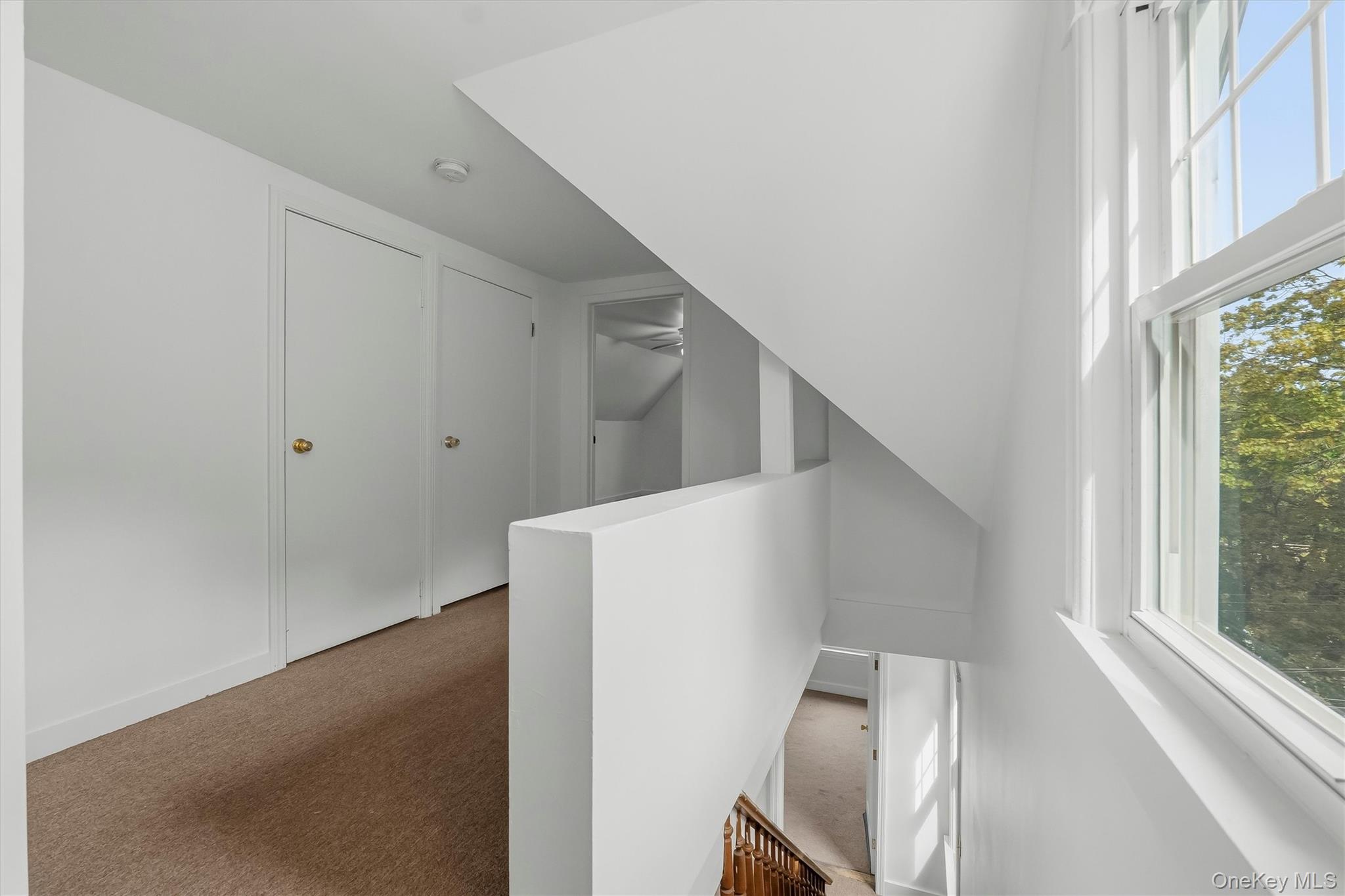 9 Desmond Avenue Property Photo 23