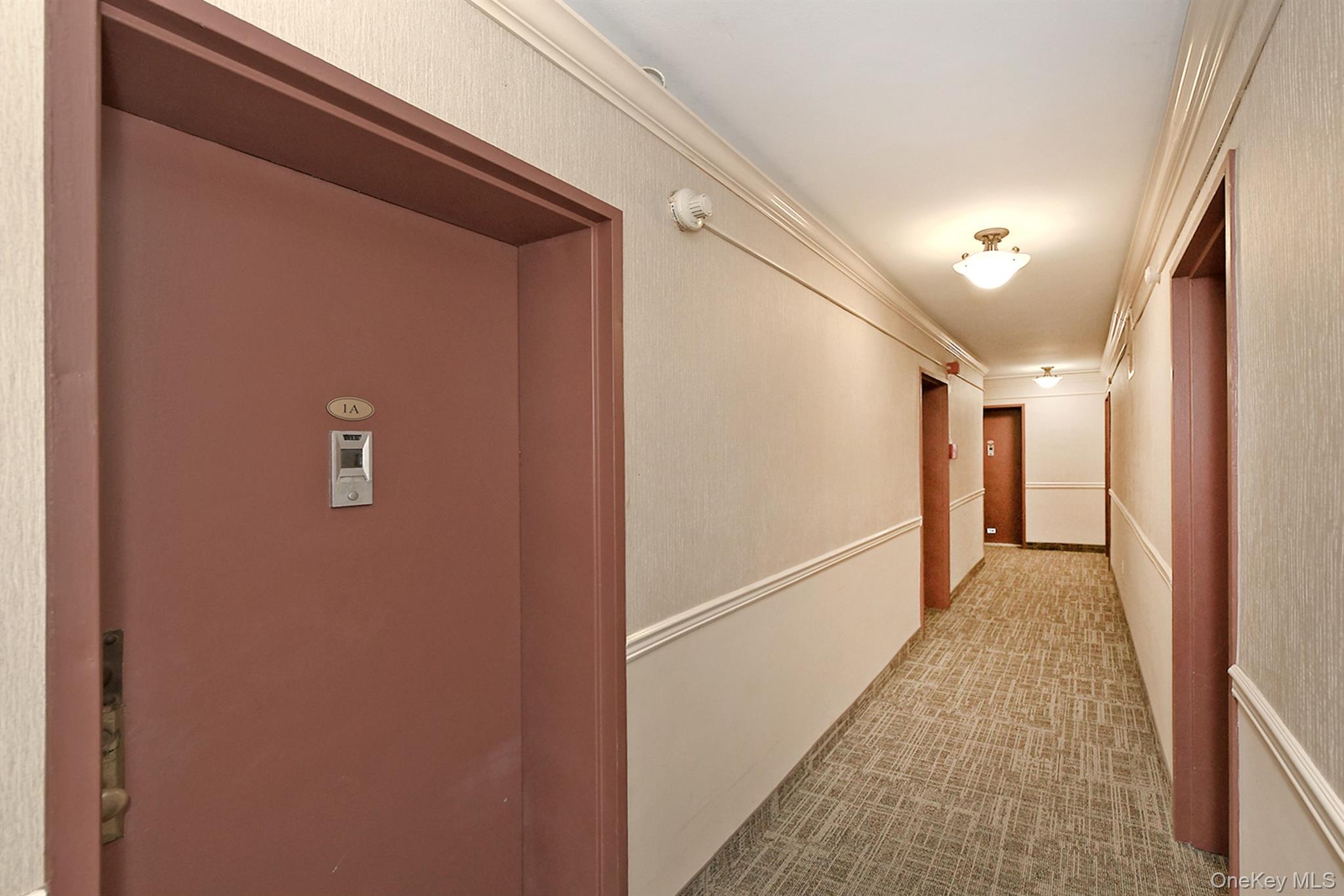 370 W Broadway 1a Property Photo 5