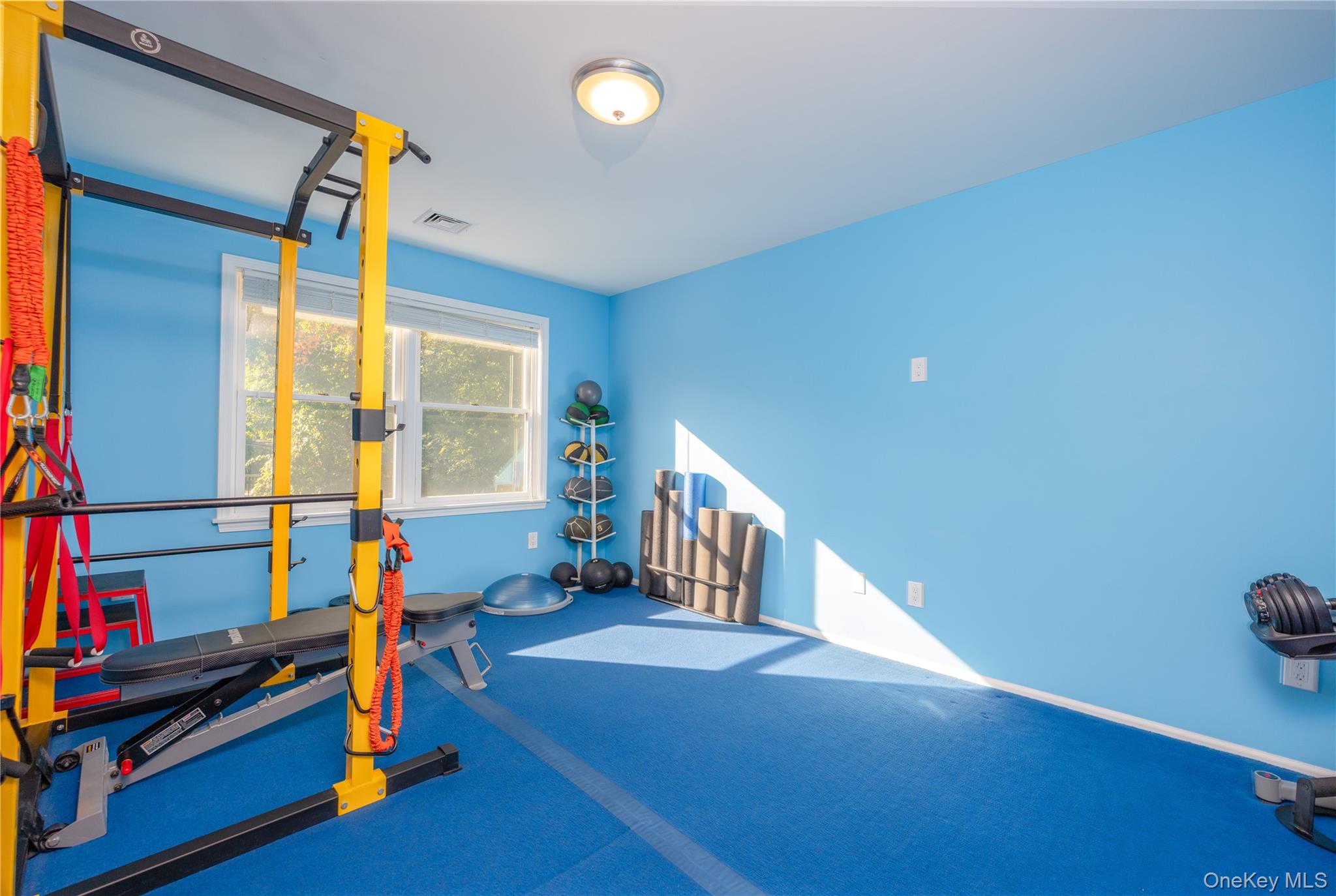 7 Virginia Street Property Photo 31