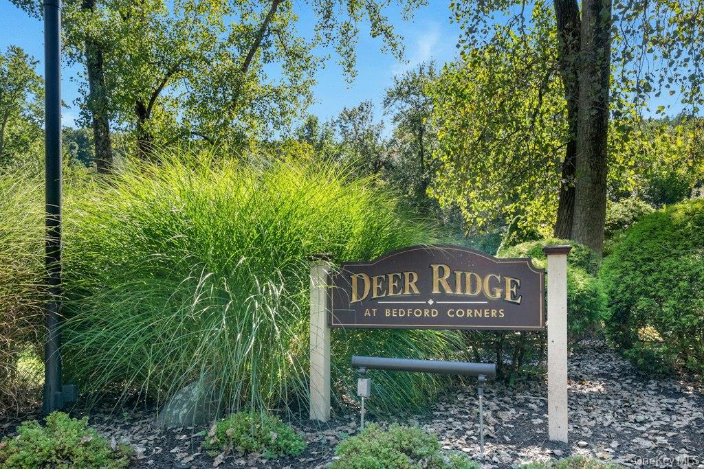 12 Deer Ridge Road D1 Property Photo 31