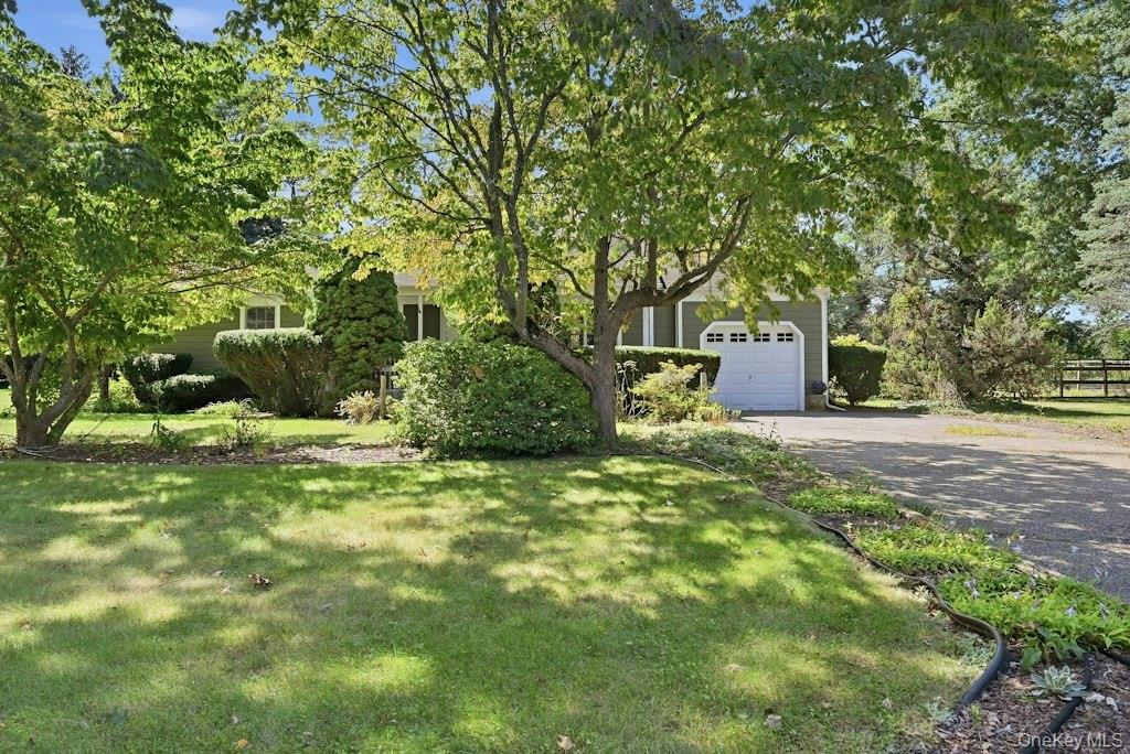 985 Silver Colt Road Property Photo 1