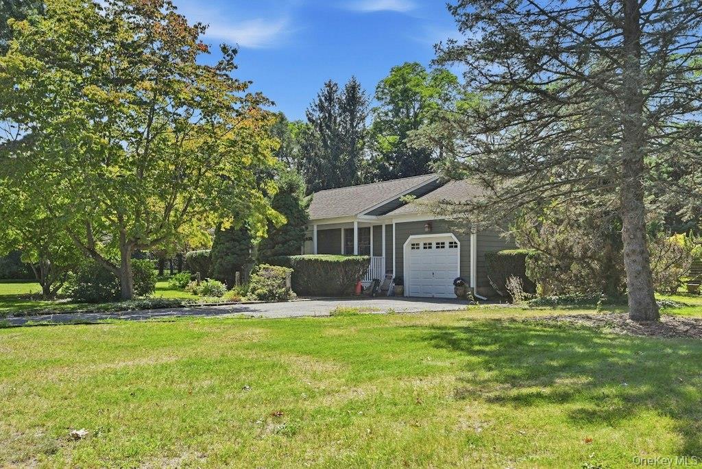 985 Silver Colt Road Property Photo 3