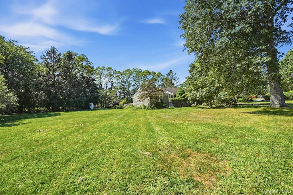 985 Silver Colt Road Property Photo 30