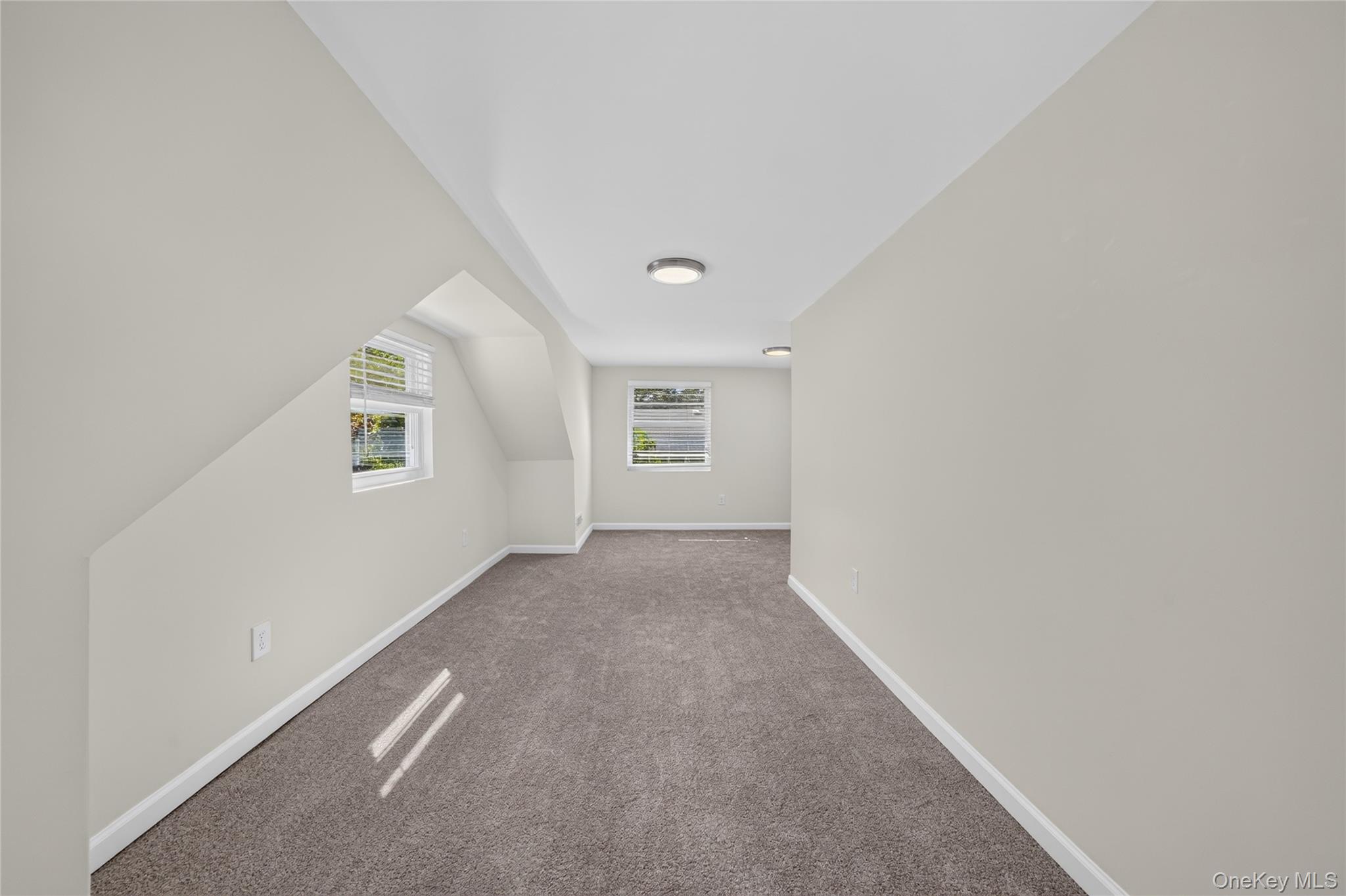 225 Fir Grove Ronkonkoma Property Photo 19