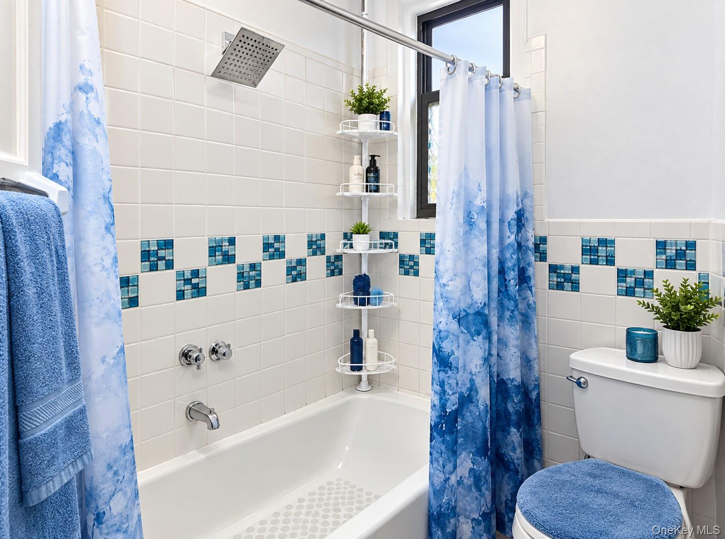 1103 Franklin Avenue 12a Property Photo 6