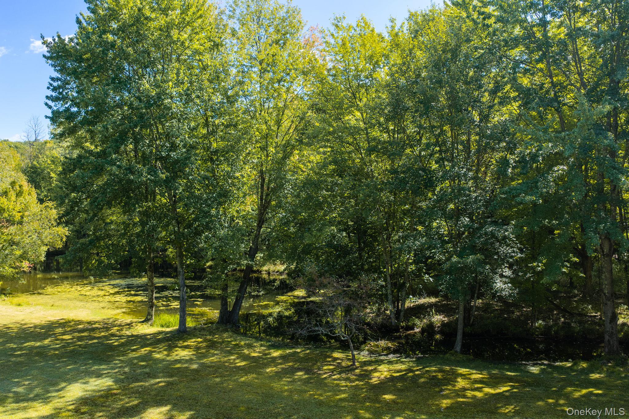 208 White Bridge Road Property Photo 31