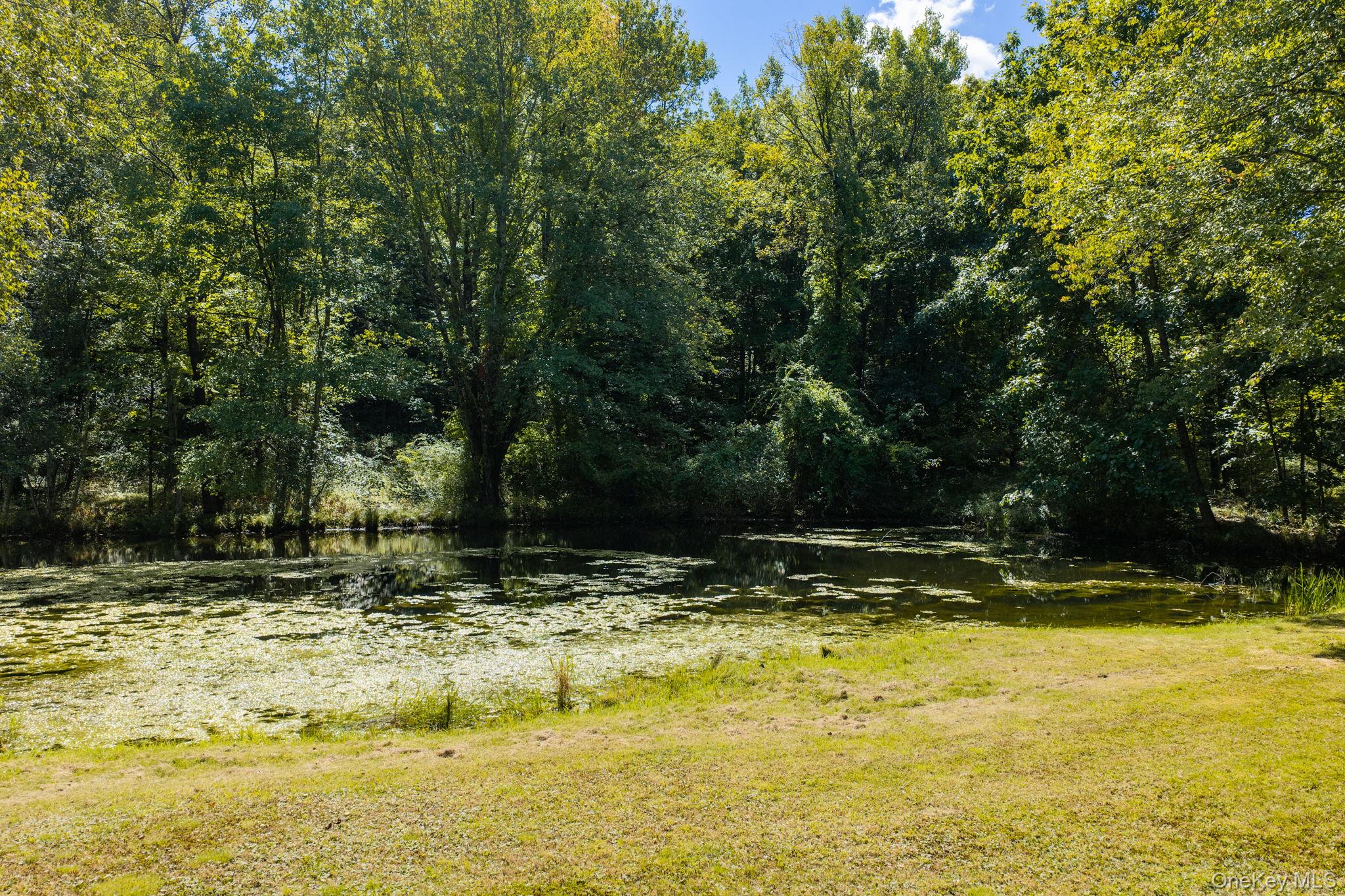 208 White Bridge Road Property Photo 32