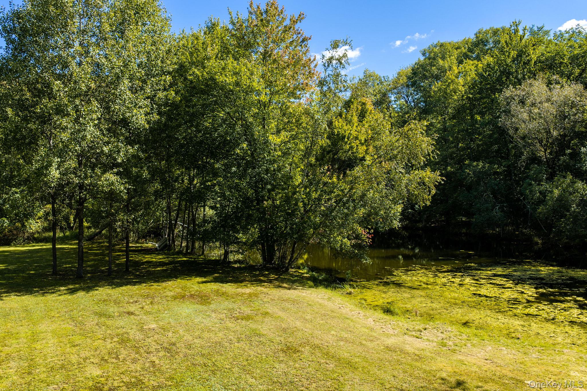 208 White Bridge Road Property Photo 35