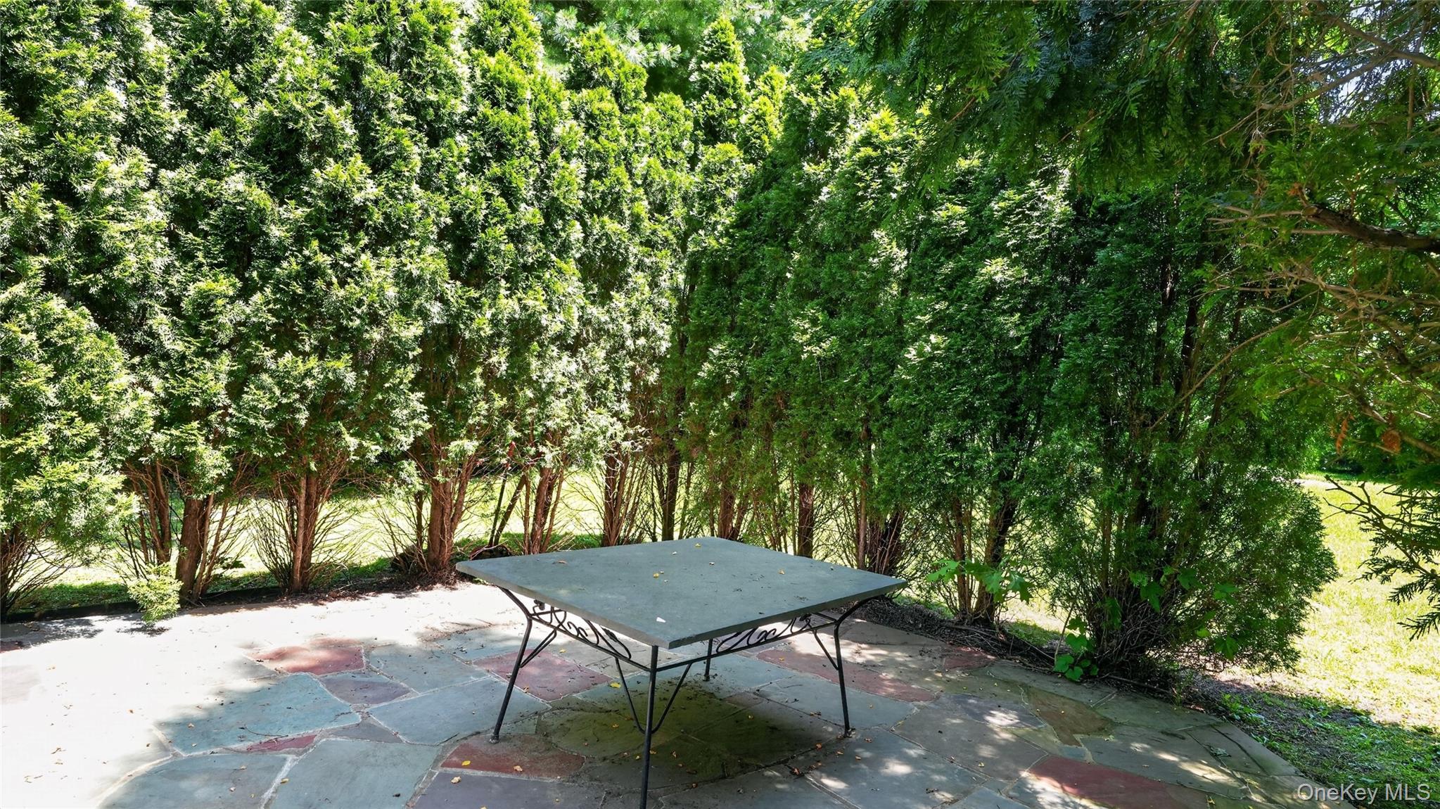 1058 Plandome Road Property Photo 17