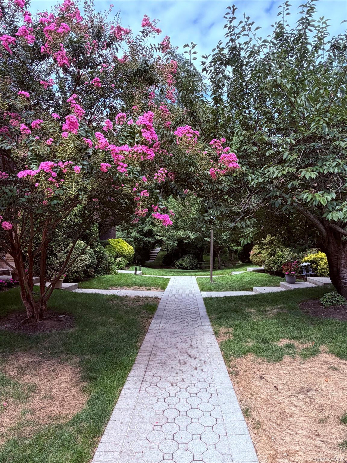 4 Spring Hollow Property Photo 16