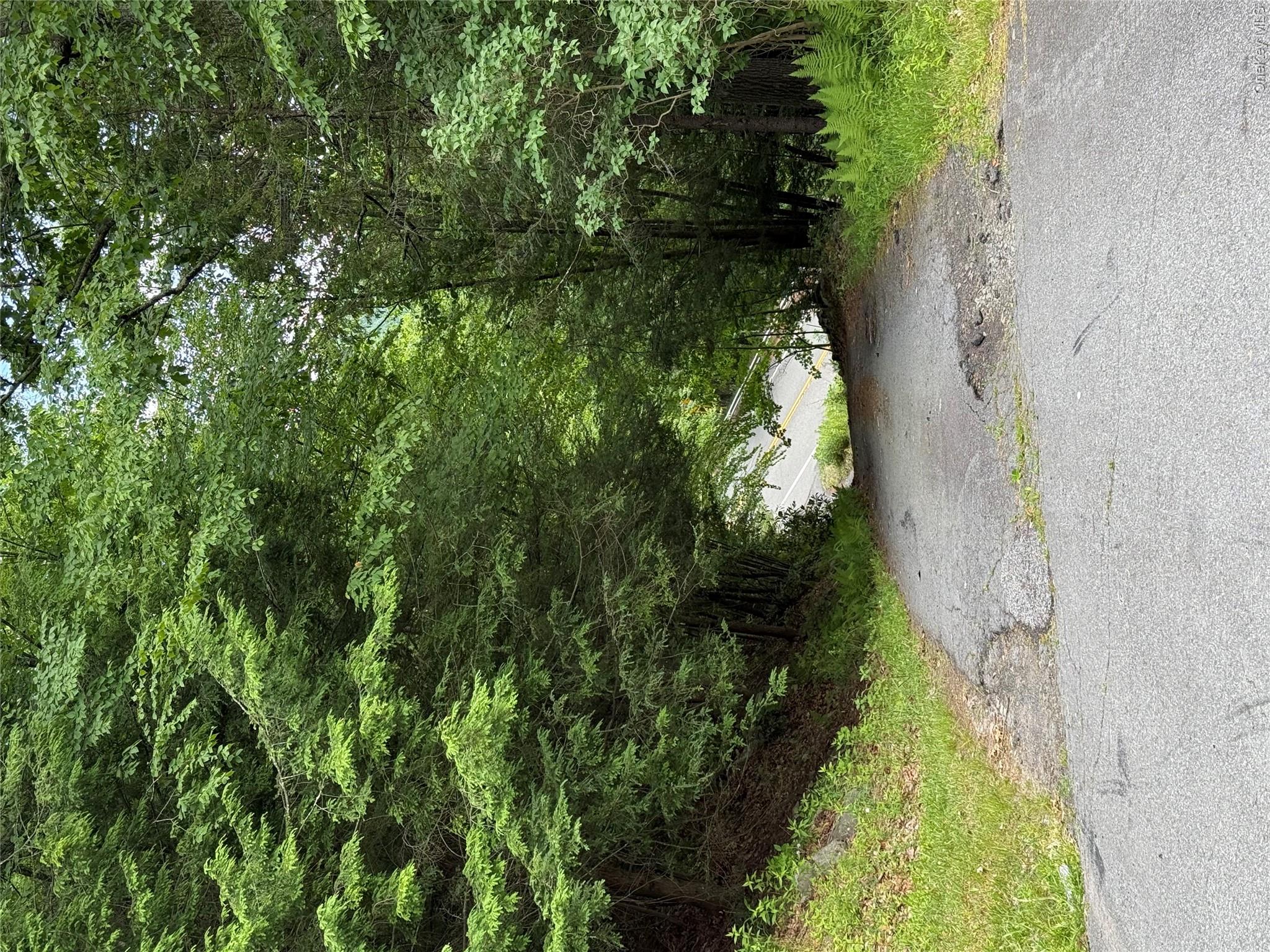 592 State Highway 97 Property Photo 10