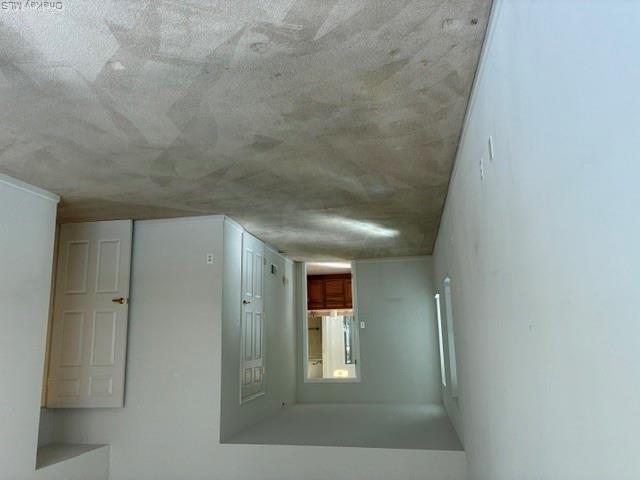 154 Christine Drive Property Photo 18
