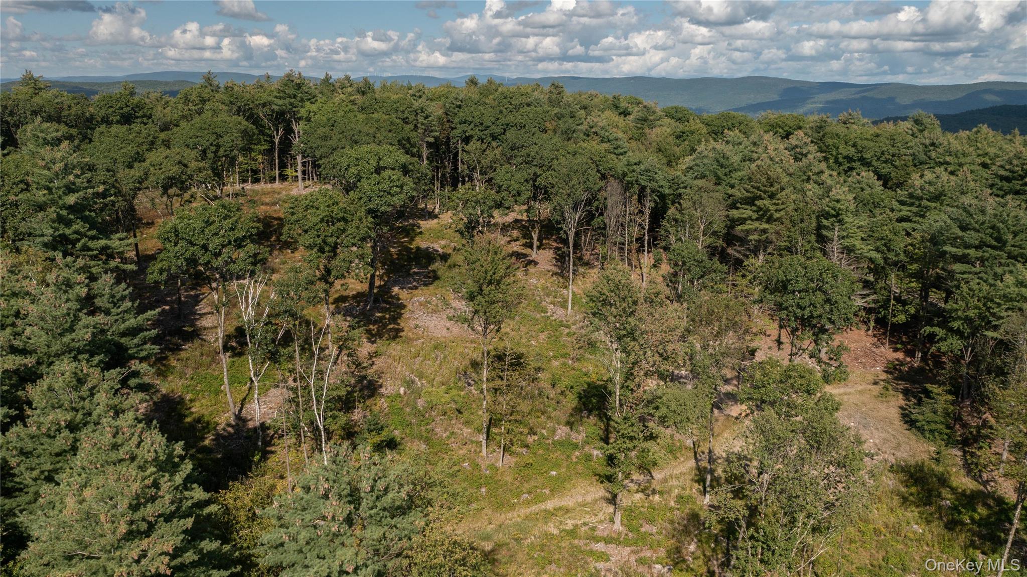 Tbd Old Ghost Road Property Photo 4
