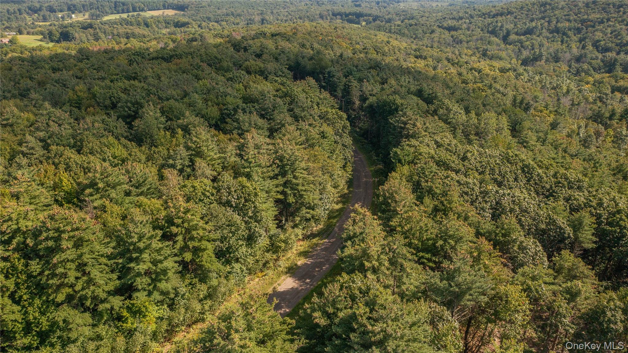 Tbd Old Ghost Road Property Photo 5