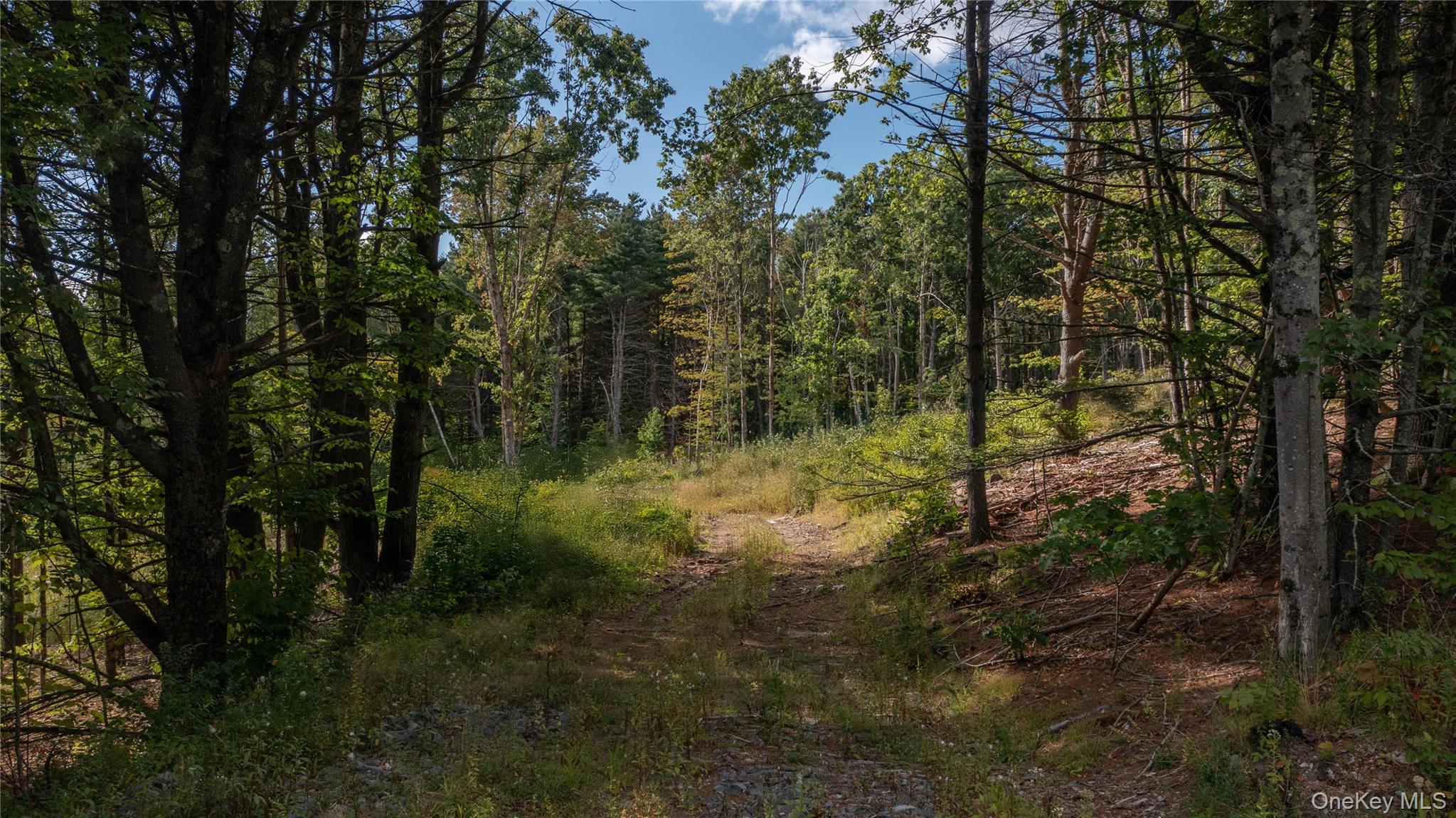 Tbd Old Ghost Road Property Photo 6