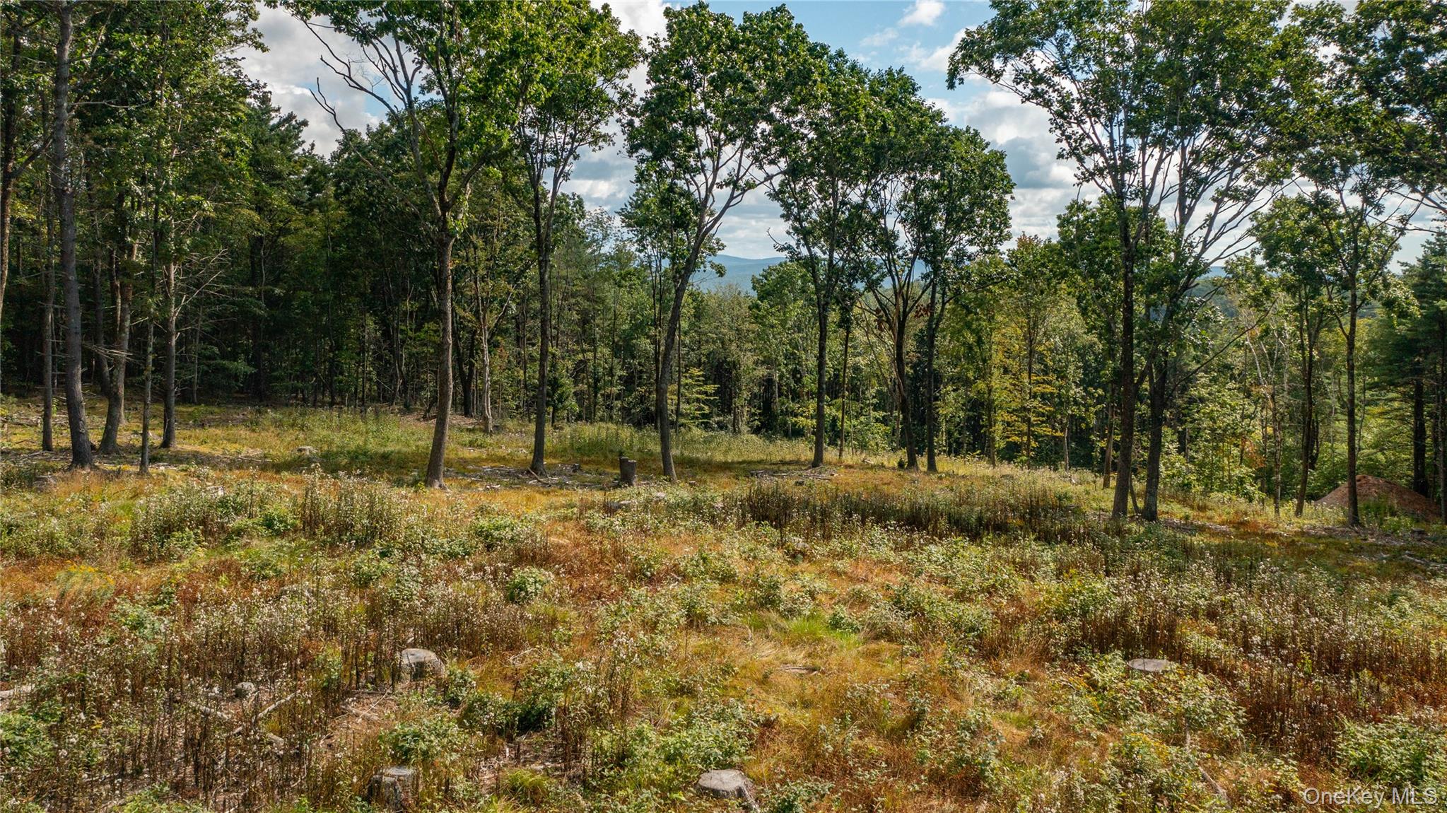 Tbd Old Ghost Road Property Photo 7