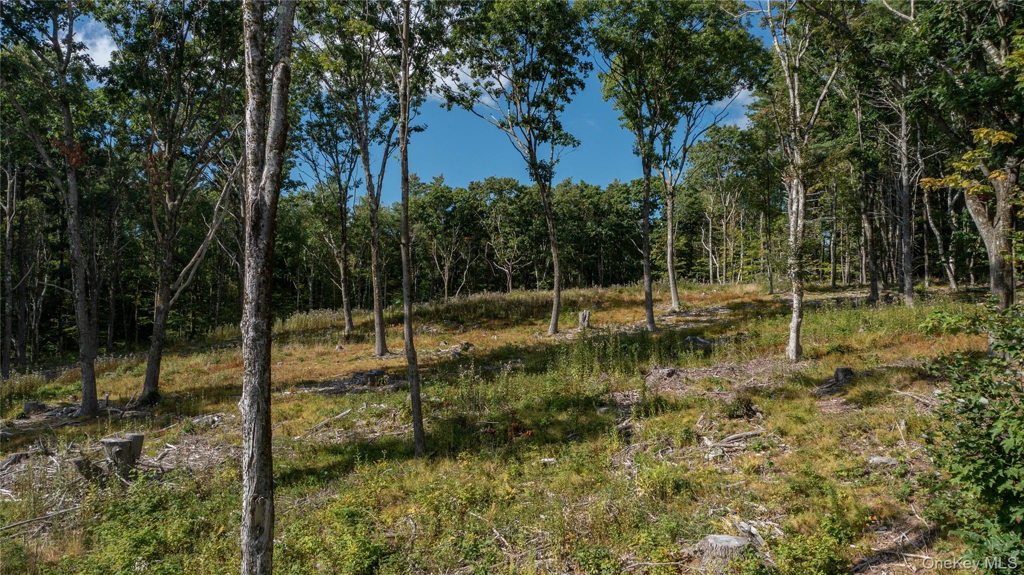 Tbd Old Ghost Road Property Photo 8
