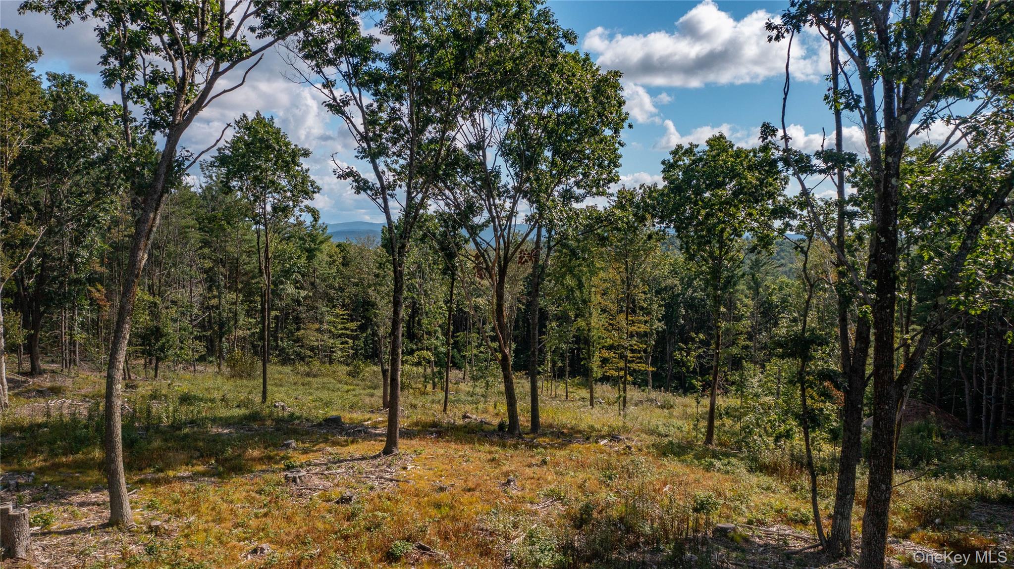 Tbd Old Ghost Road Property Photo 9
